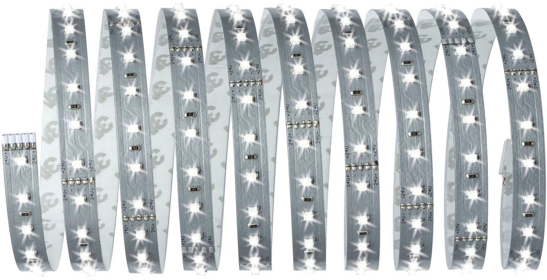 Paulmann Led-strepen MaxLED 500 Basisset 3m Daglichtwit 18W 1650lm 6500K ongecoat (1 stuk)