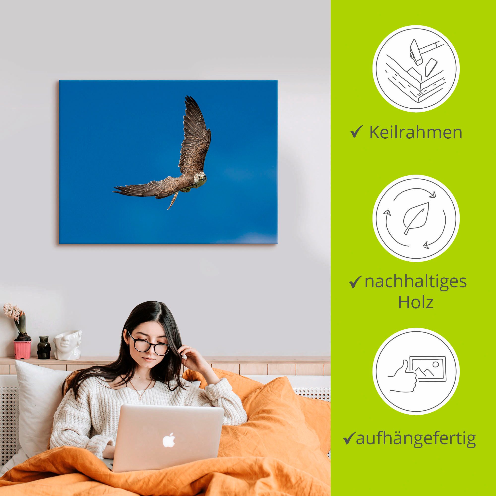 Artland Artprint De valk als artprint op linnen, poster in verschillende formaten maten