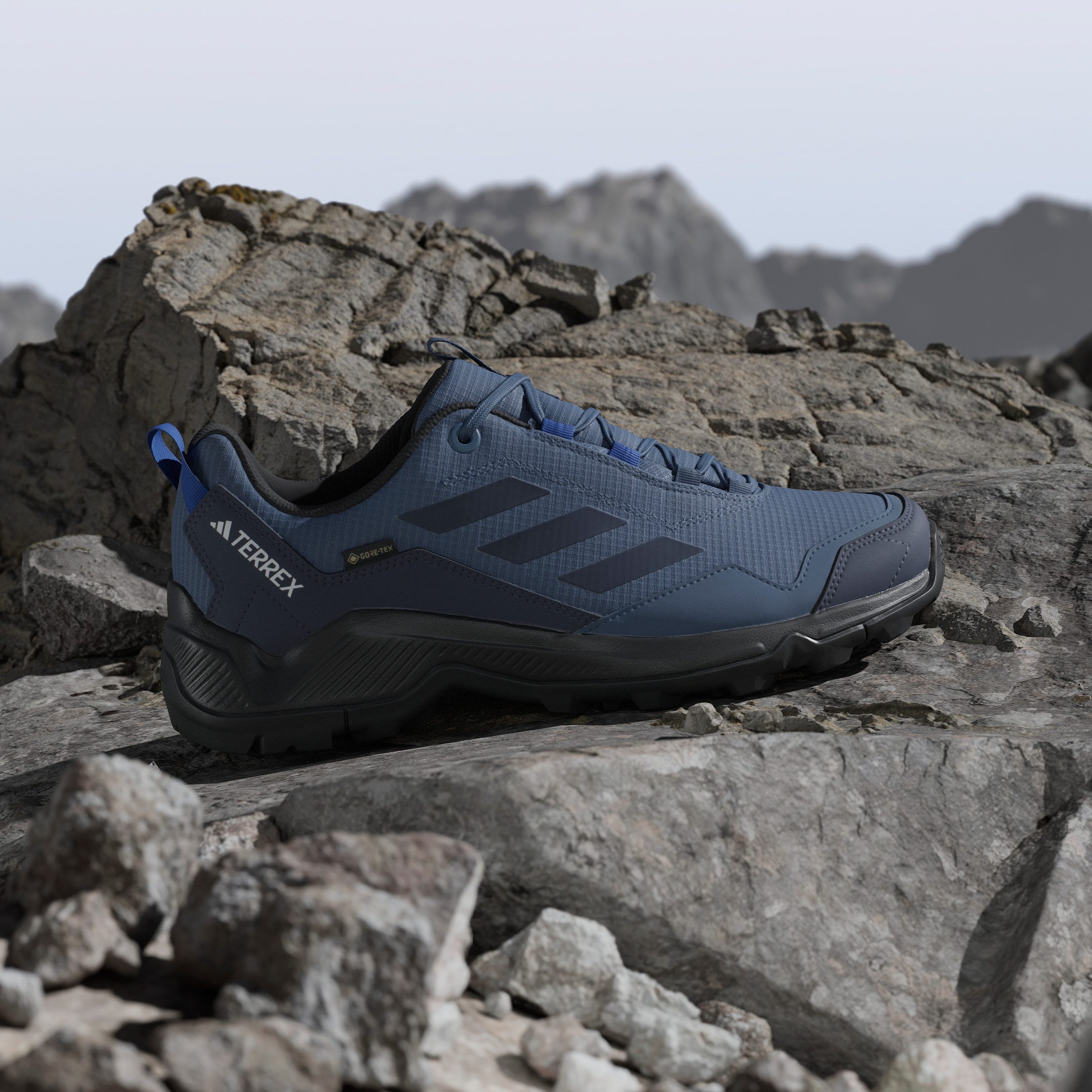 adidas TERREX Wandelschoenen TERREX EASTRAIL GORE-TEX