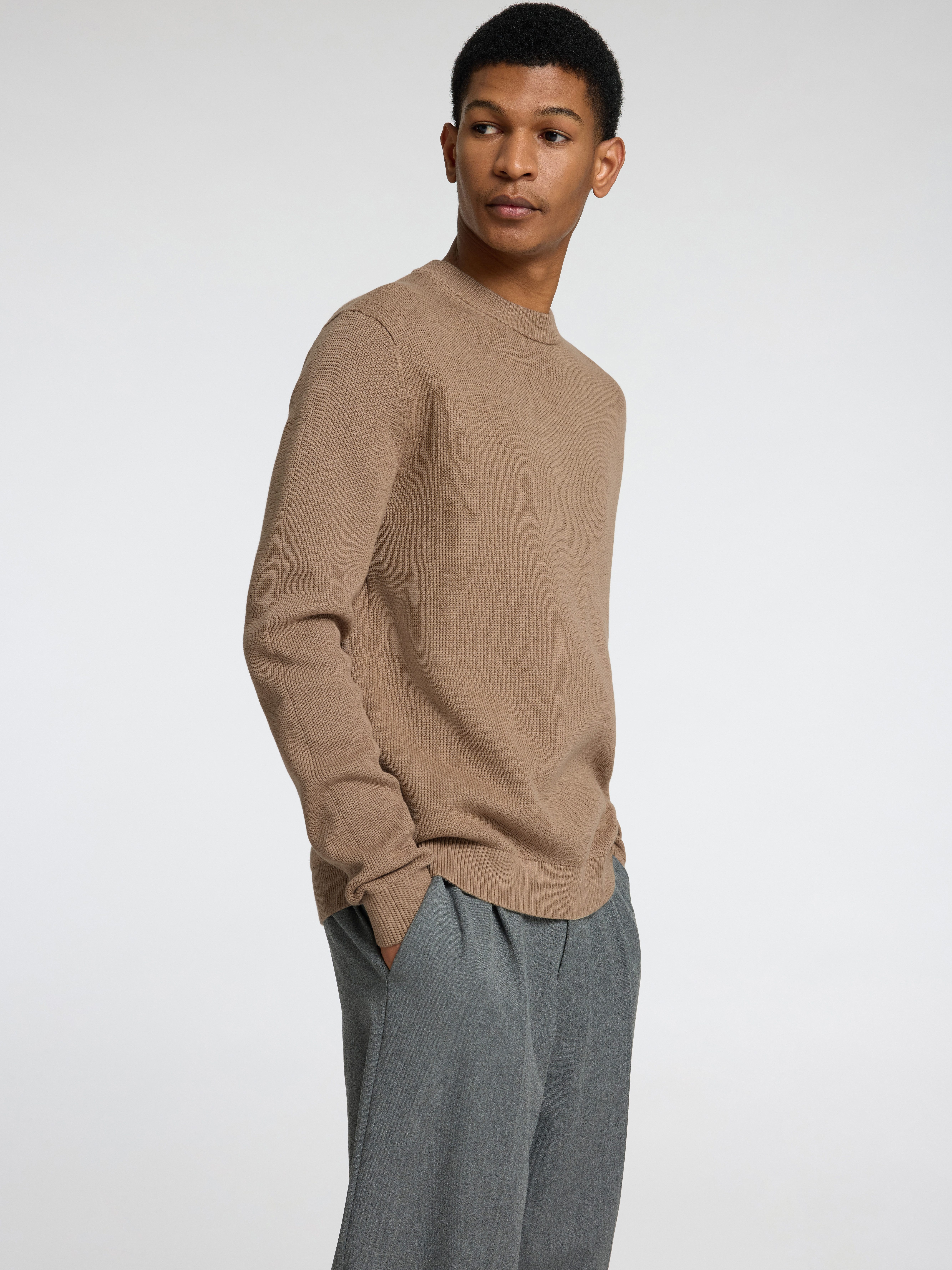 SELECTED HOMME Trui met ronde hals SLHDANE LS KNIT STRUCTURE CREW NECK NOOS