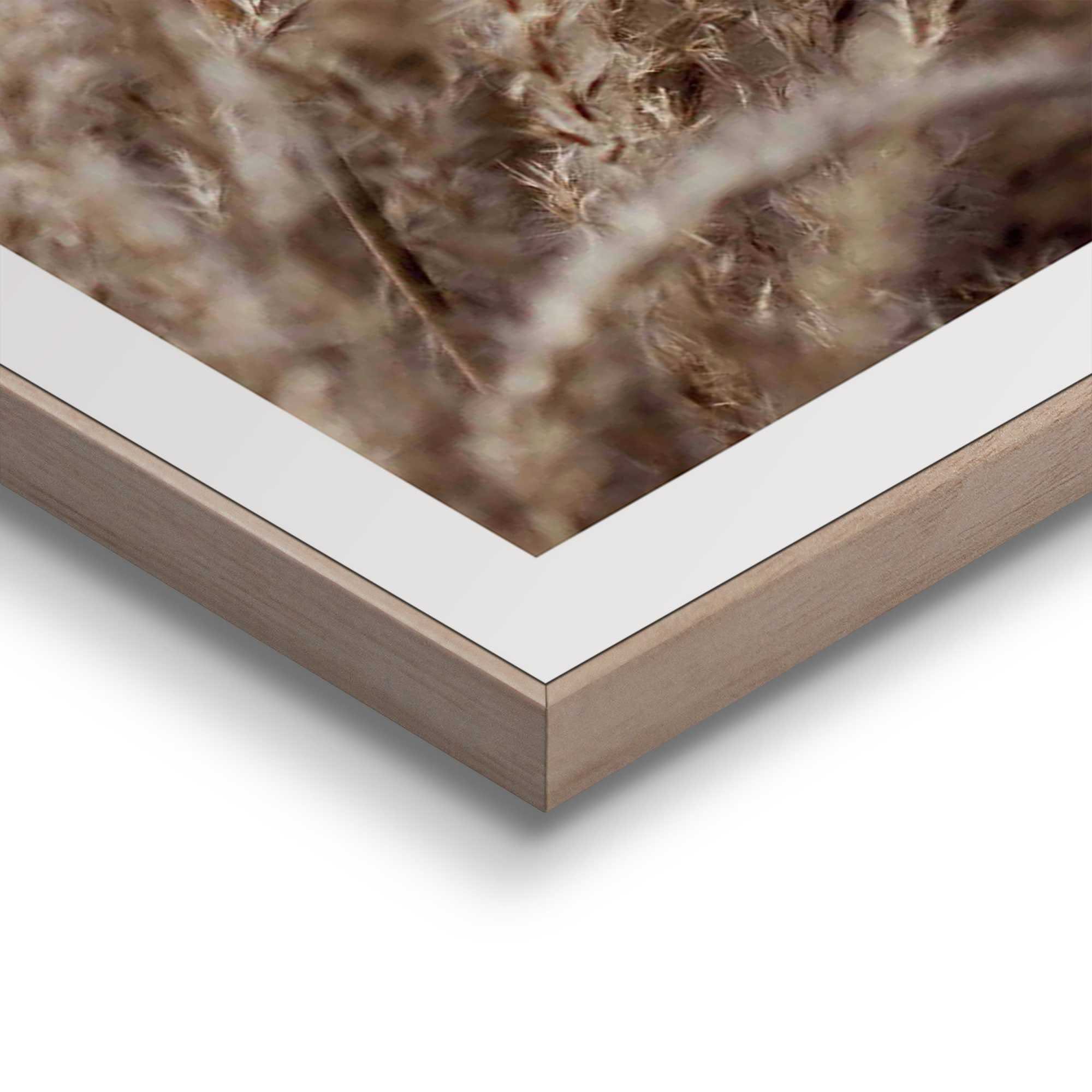 Reinders! Artprint Gras