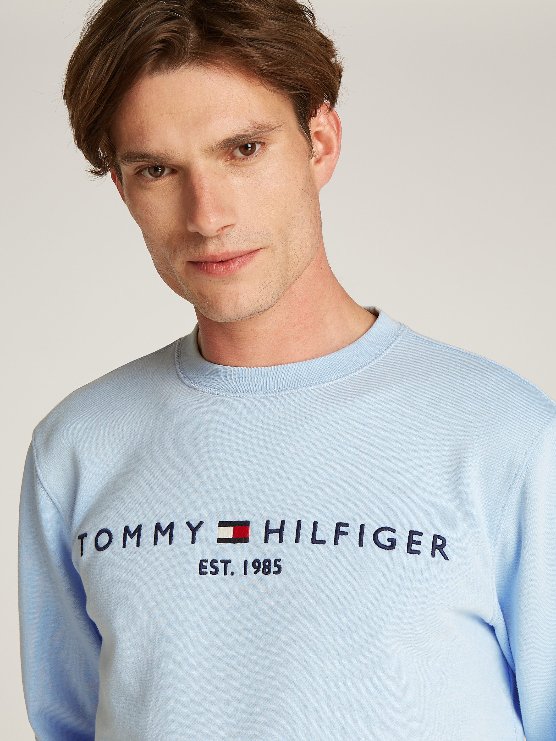 Tommy Hilfiger Sweatshirt TOMMY LOGO SWEATSHIRT met klassieke ronde hals