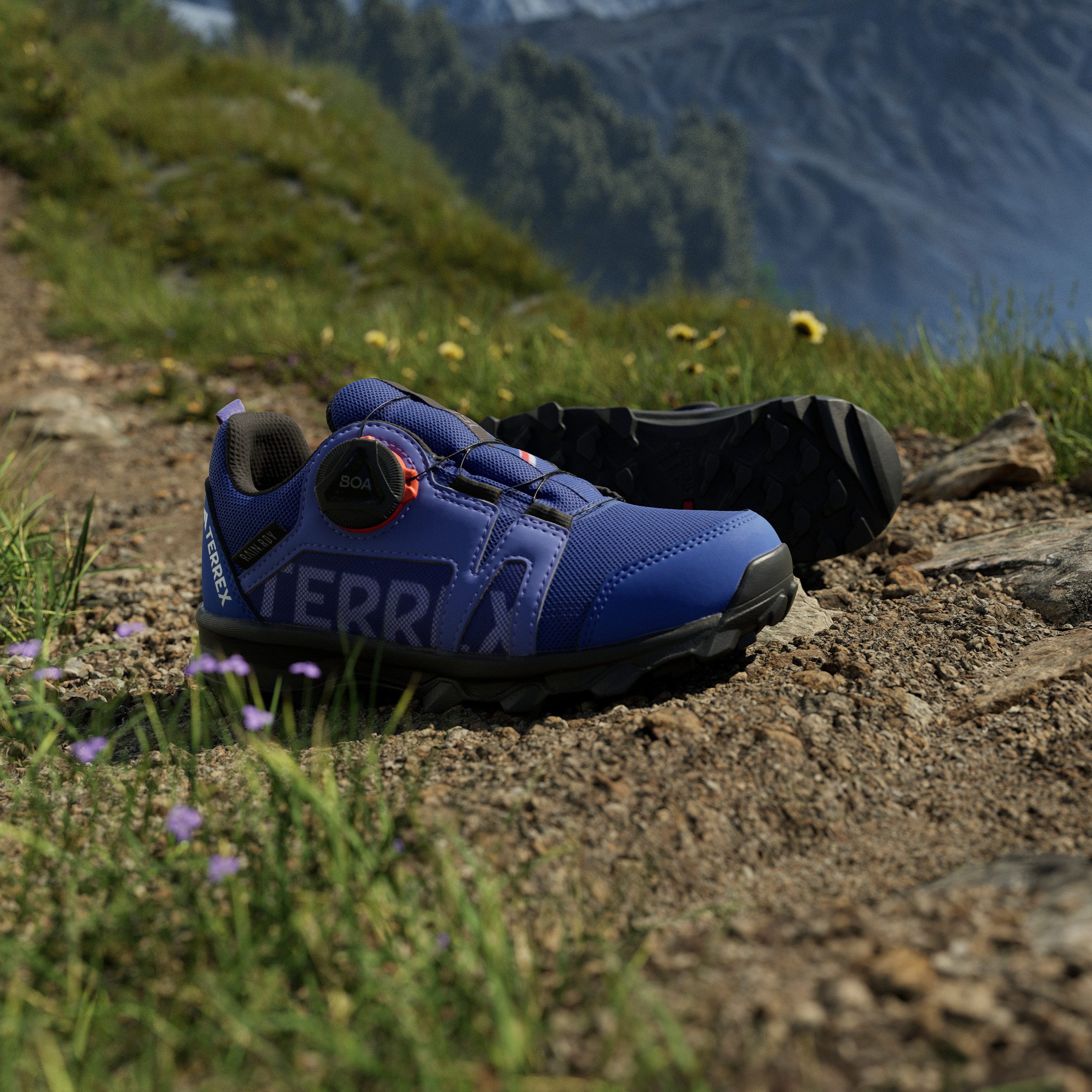 adidas TERREX Trailrunningschoenen TERREX AGRAVIC BOA RAIN.RDY TRAILRUNNING