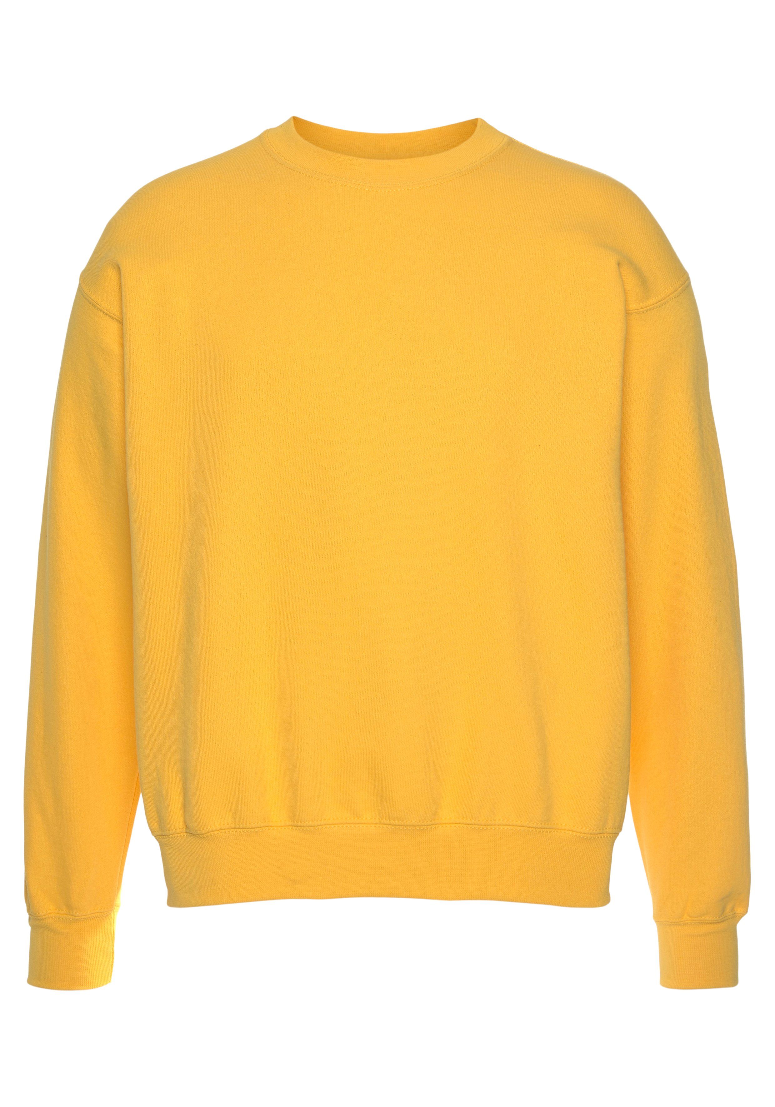 Fruit of the Loom Sweatshirt in een unikleurig design