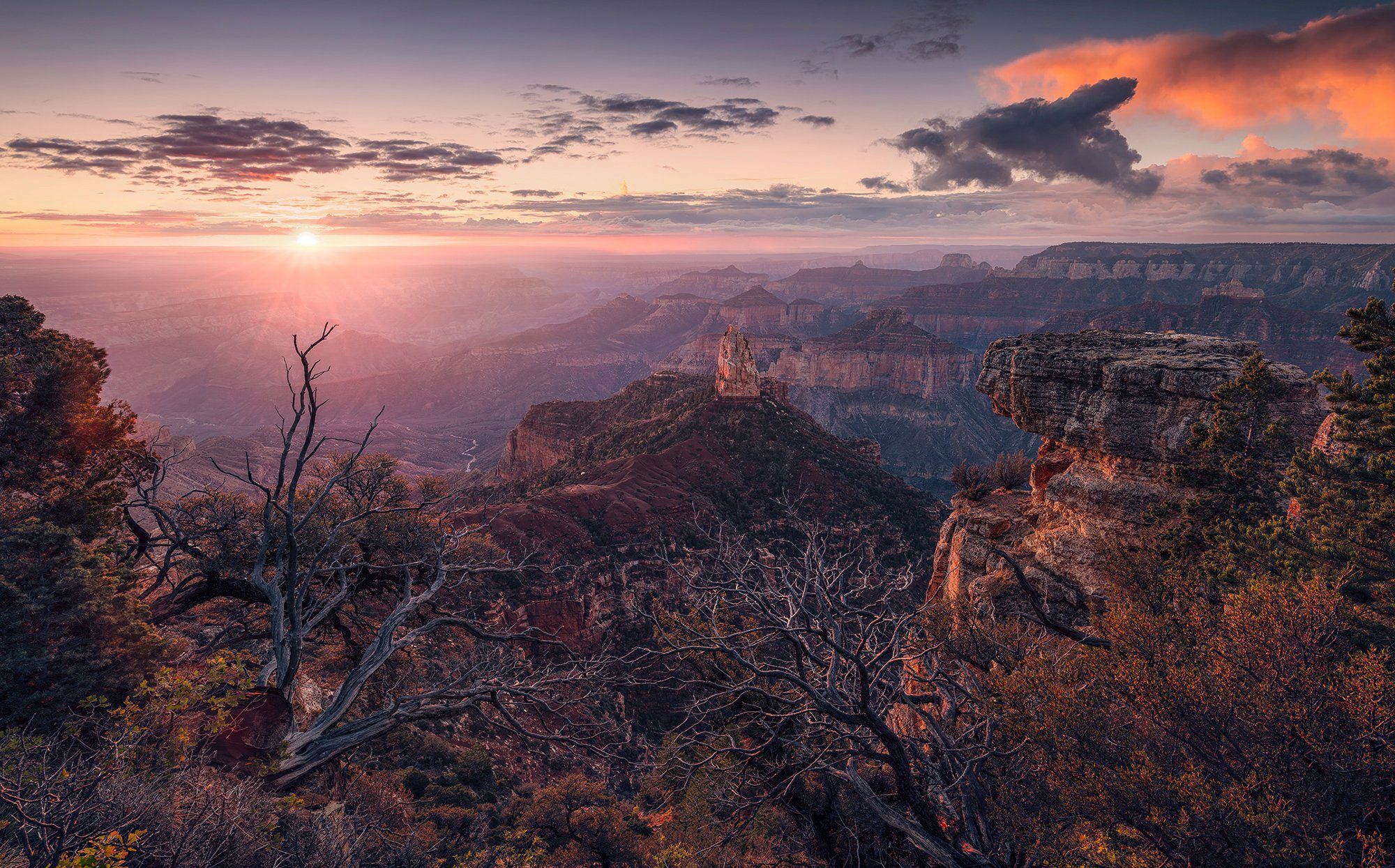 Komar fotobehang Grand View