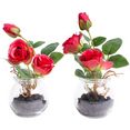 botanic-haus kunstbloem rozen in het glas (set) rood