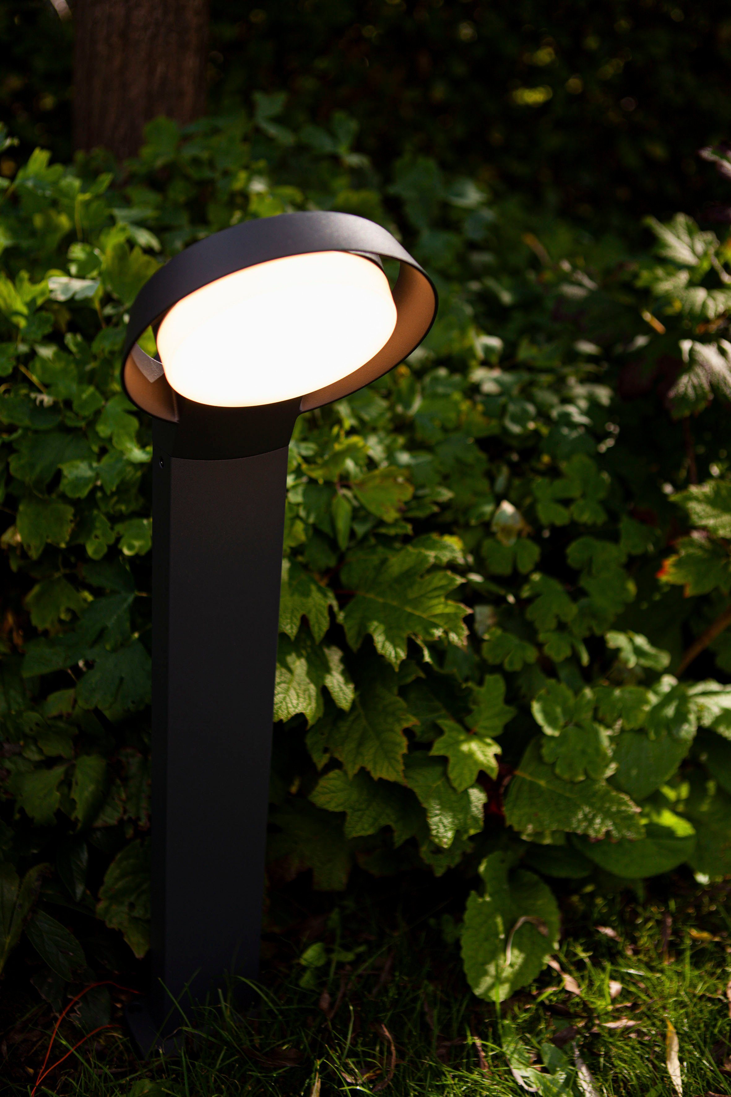 LUTEC Ledwandlamp voor buiten Polo (1 stuk)