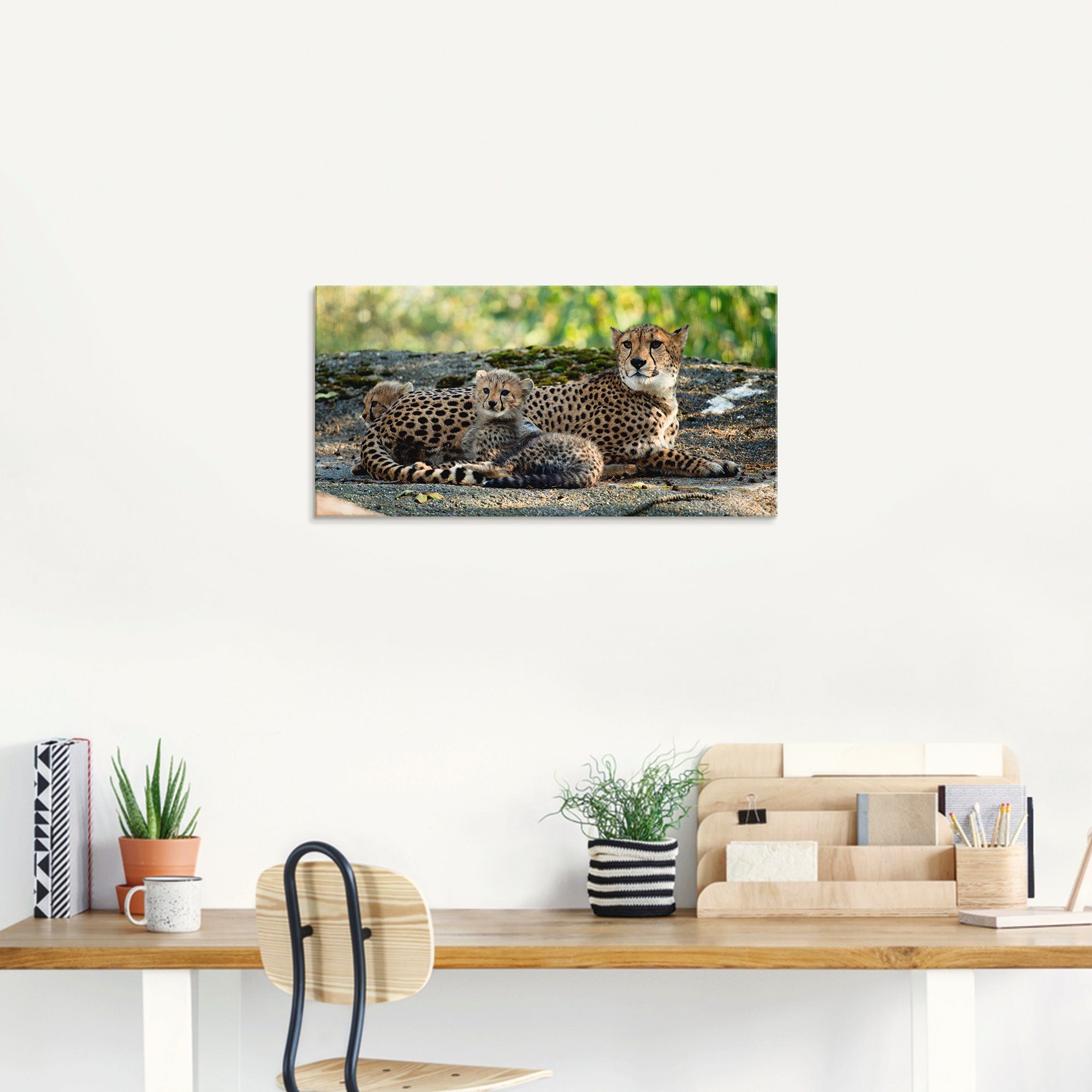 Artland Print op glas Jachtluipaard 2 in verschillende maten