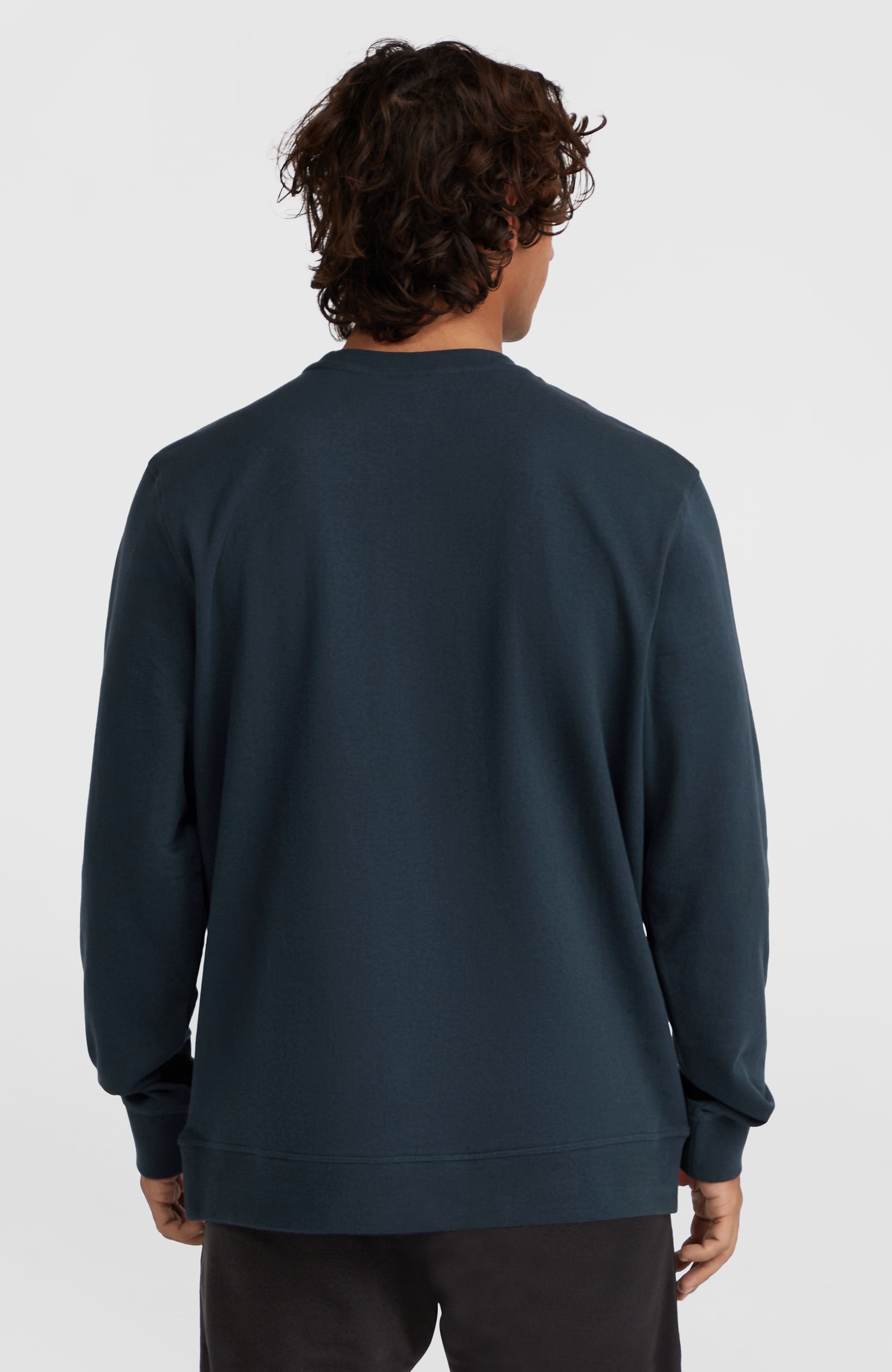 O'Neill Sweatshirt O'NEILL LOGO CREW
