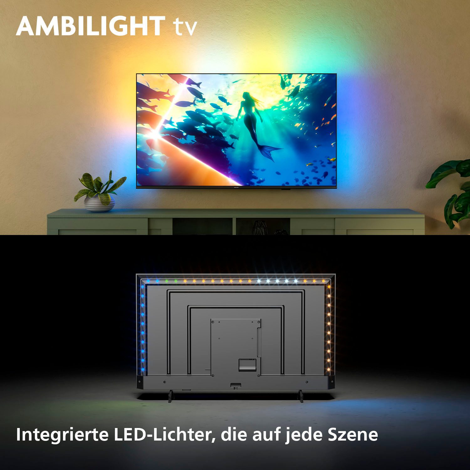 Philips Led-TV 65PUS8000/12