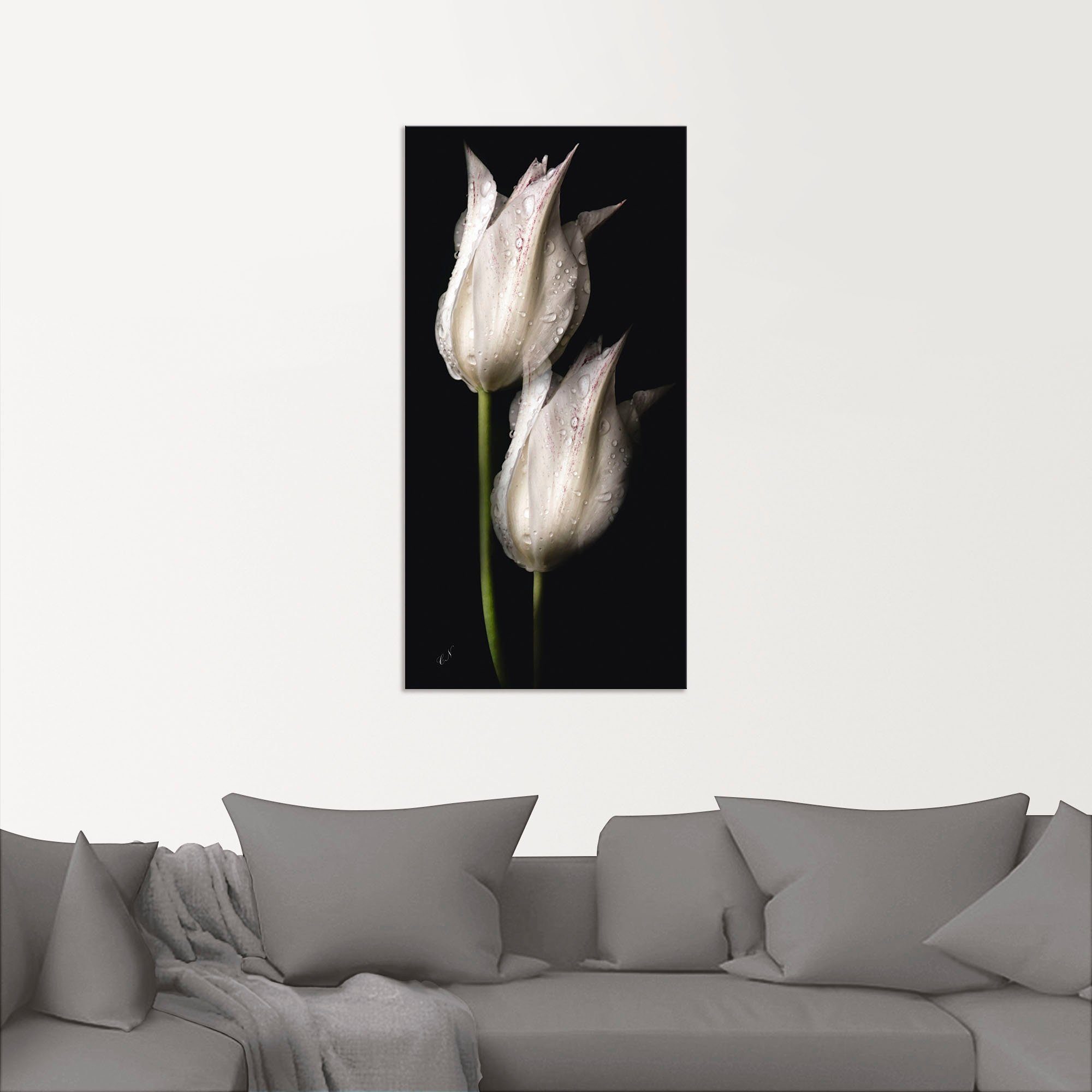 Artland Artprint Witte tulpen in de nacht als artprint van aluminium, artprint voor buiten, artprint op linnen, poster, muursticker
