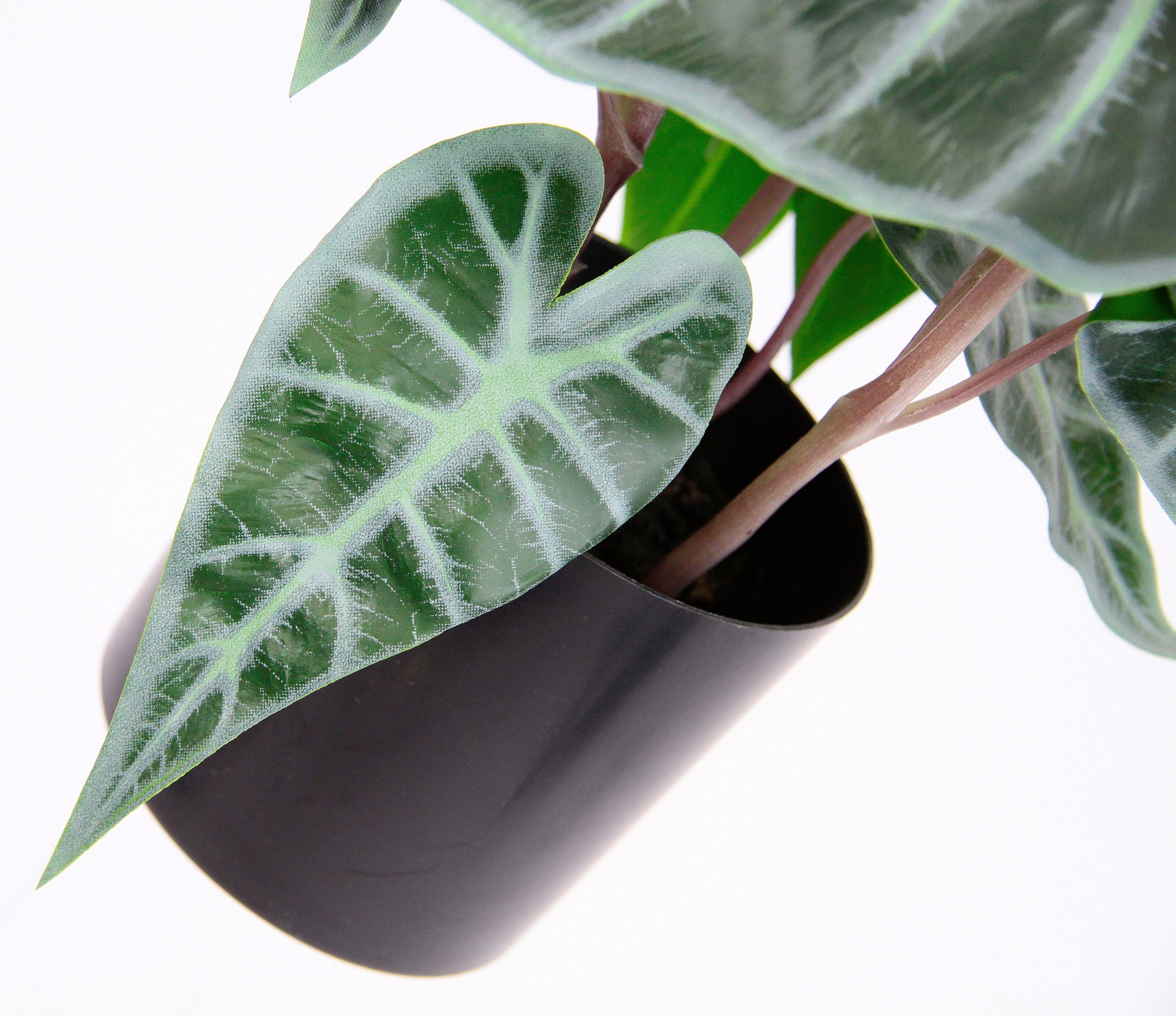 I.GE.A. Kunstplant Calathea Kunstplant, zijden bloemen, kamerplant, Zebrina, Alocasia Sanderiana (1 stuk)