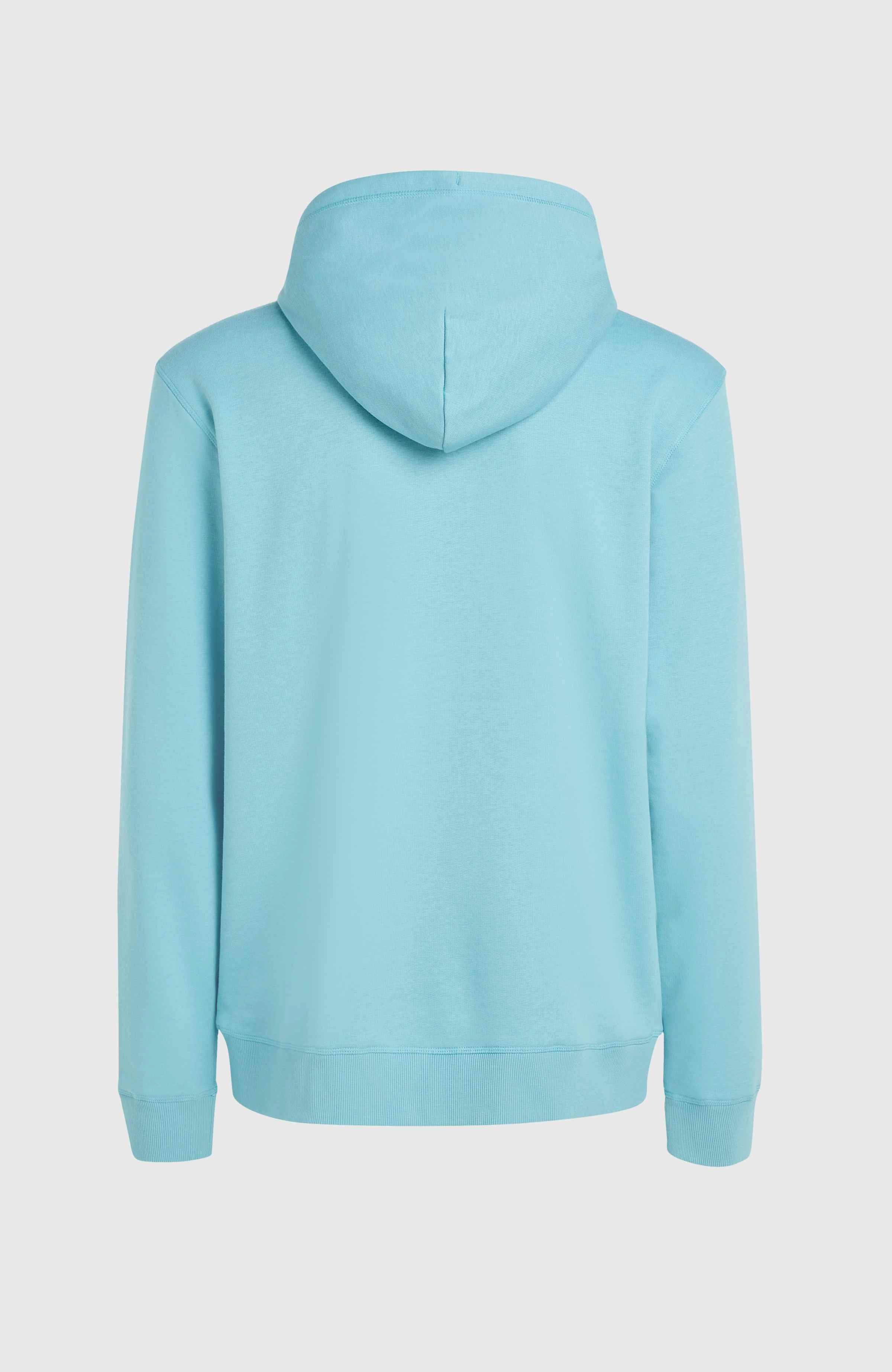 O'Neill Hoodie O'NEILL LOGO HOODIE