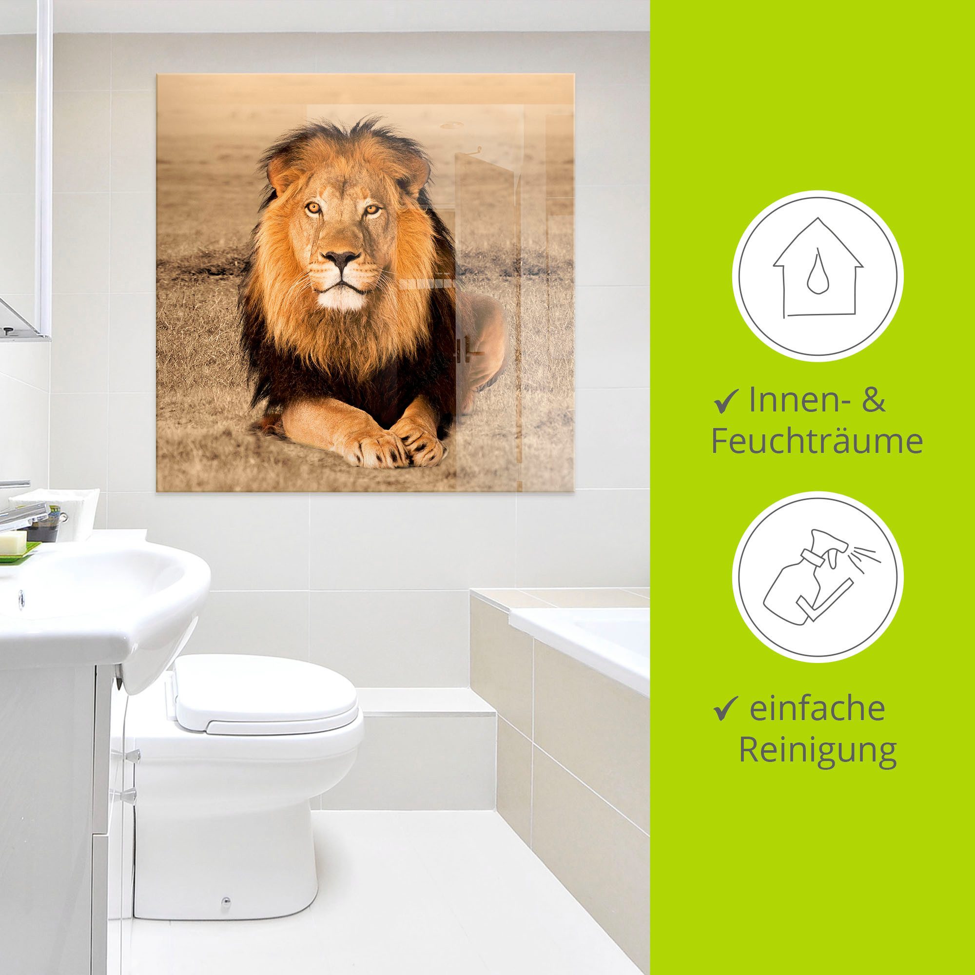 Artland Print op glas Leeuw
