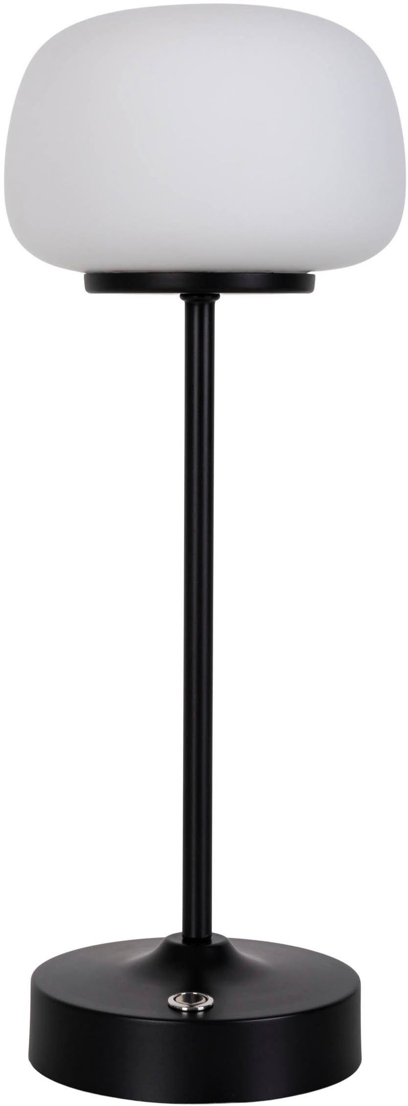 näve Led-tafellamp Pina Oplaadbare accu, USB Type C incl. kabel 100cm, touch, dimbaar