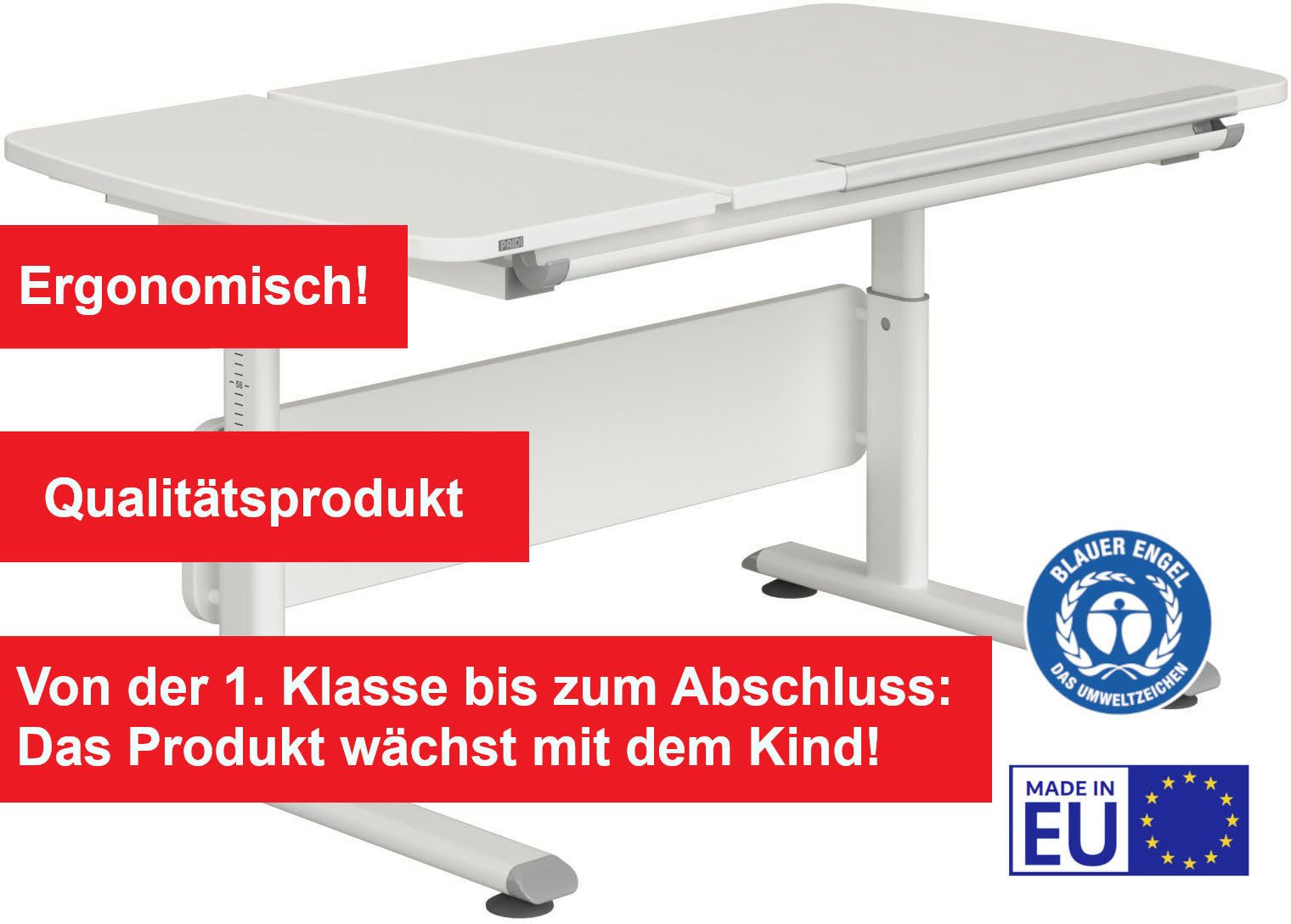 PAIDI Kinderwelten Kinderbureau DIEGO CURVED GT, leerlingbureau, ergonomisch, meegroeiend stappenloos in hoogte verstelbaar, gedeeld tafelblad kantelbaar