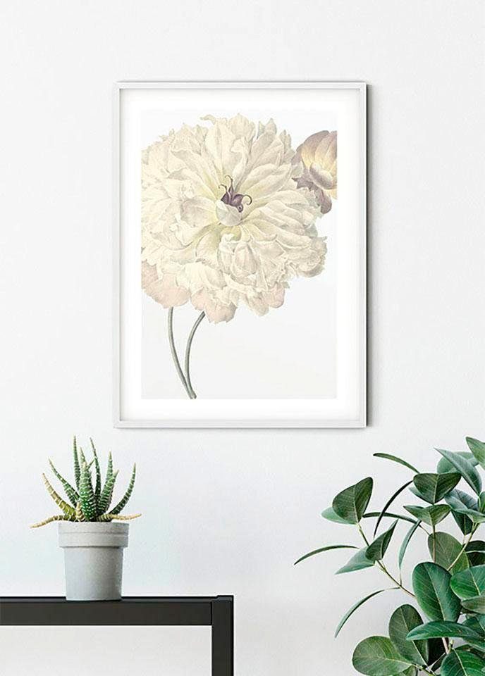 Komar Wanddecoratie Illustratie Dahlia Wanddecoratie - zonder lijst (1 stuk)