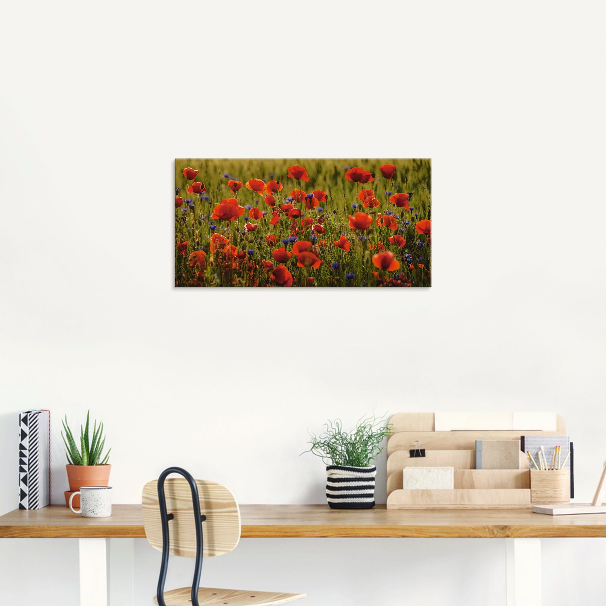 Artland Print op glas Zomerse klaproos in verschillende maten