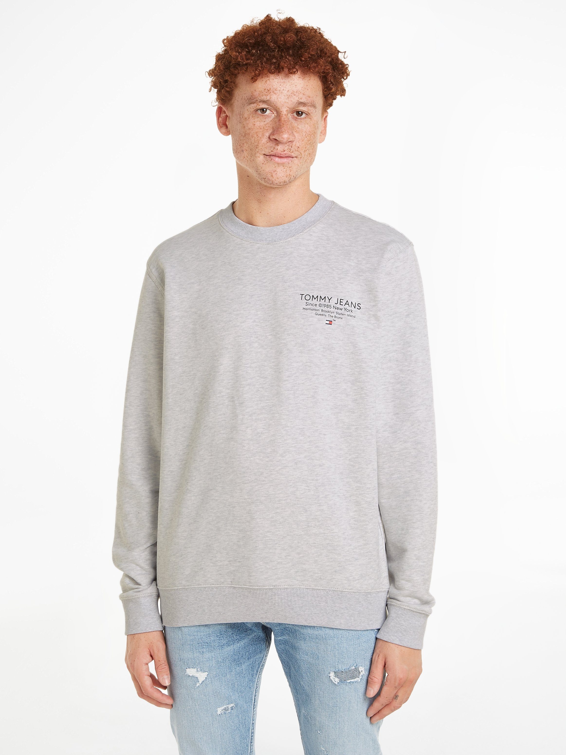 Tommy Hilfiger Regular Essential Graphic Crew Sweater Heren
