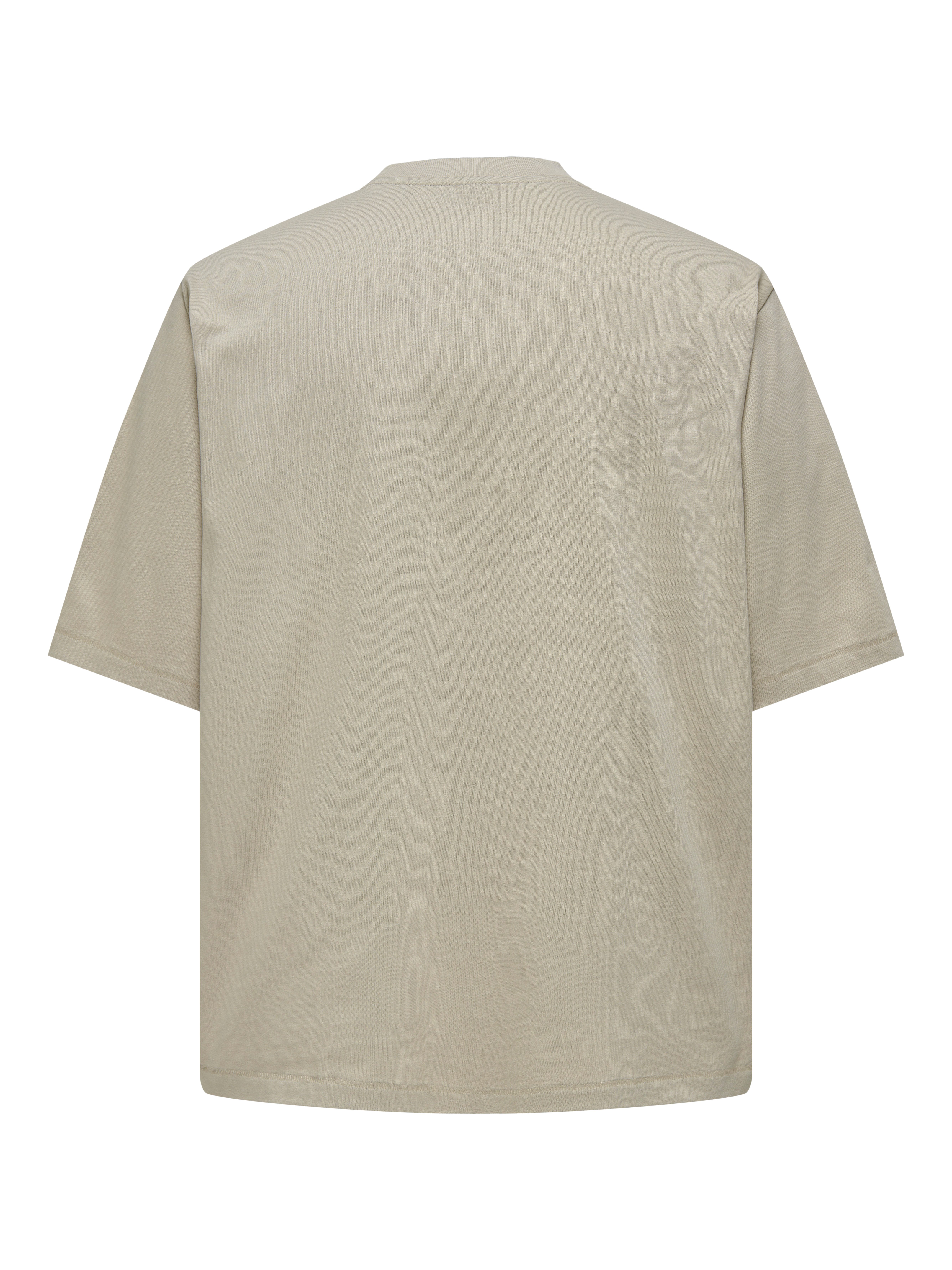 ONLY & SONS Shirt met ronde hals ONSMILLENIUM OVZ SS TEE NOOS