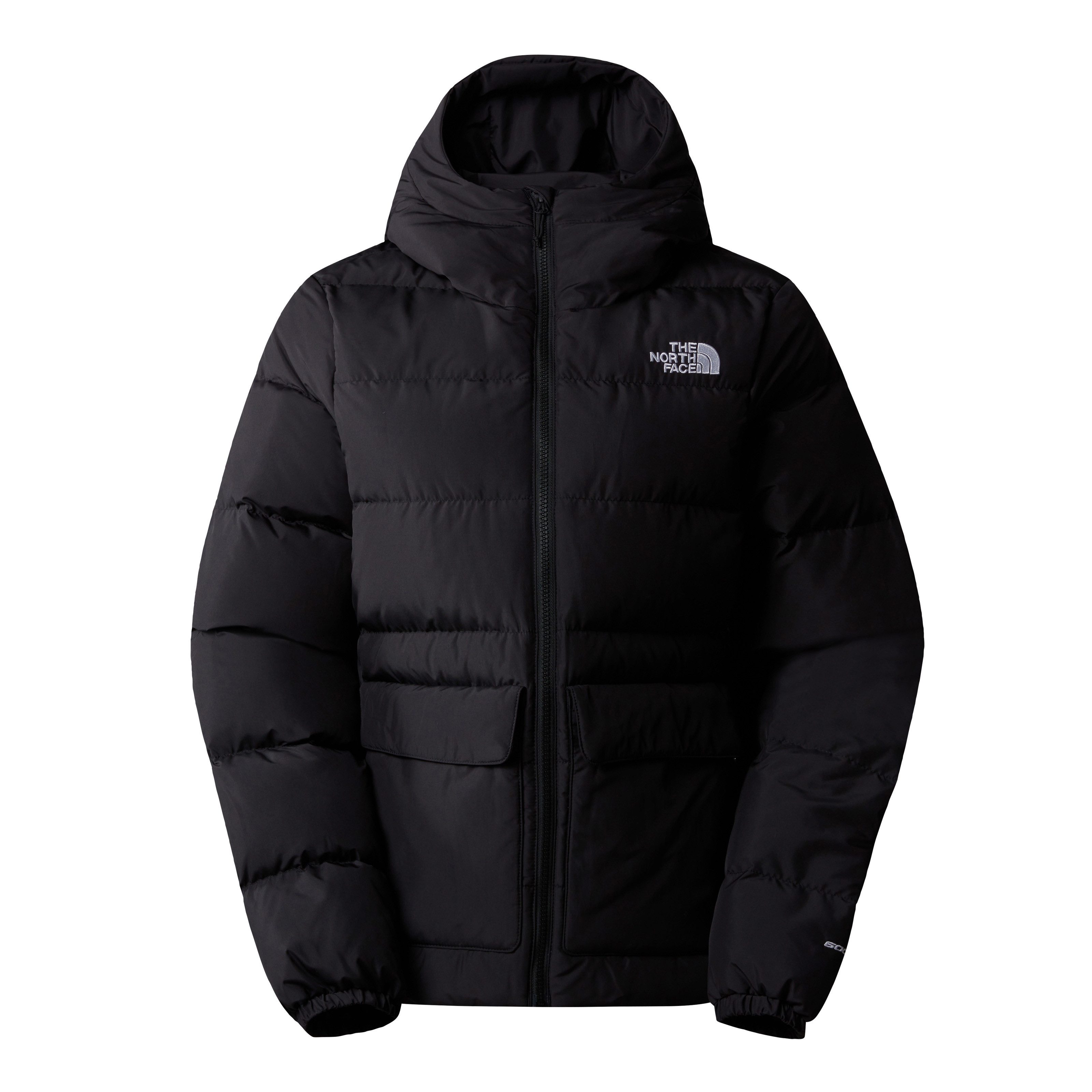 The North Face Donsjack GOTHAM JACKET Waterafstotend