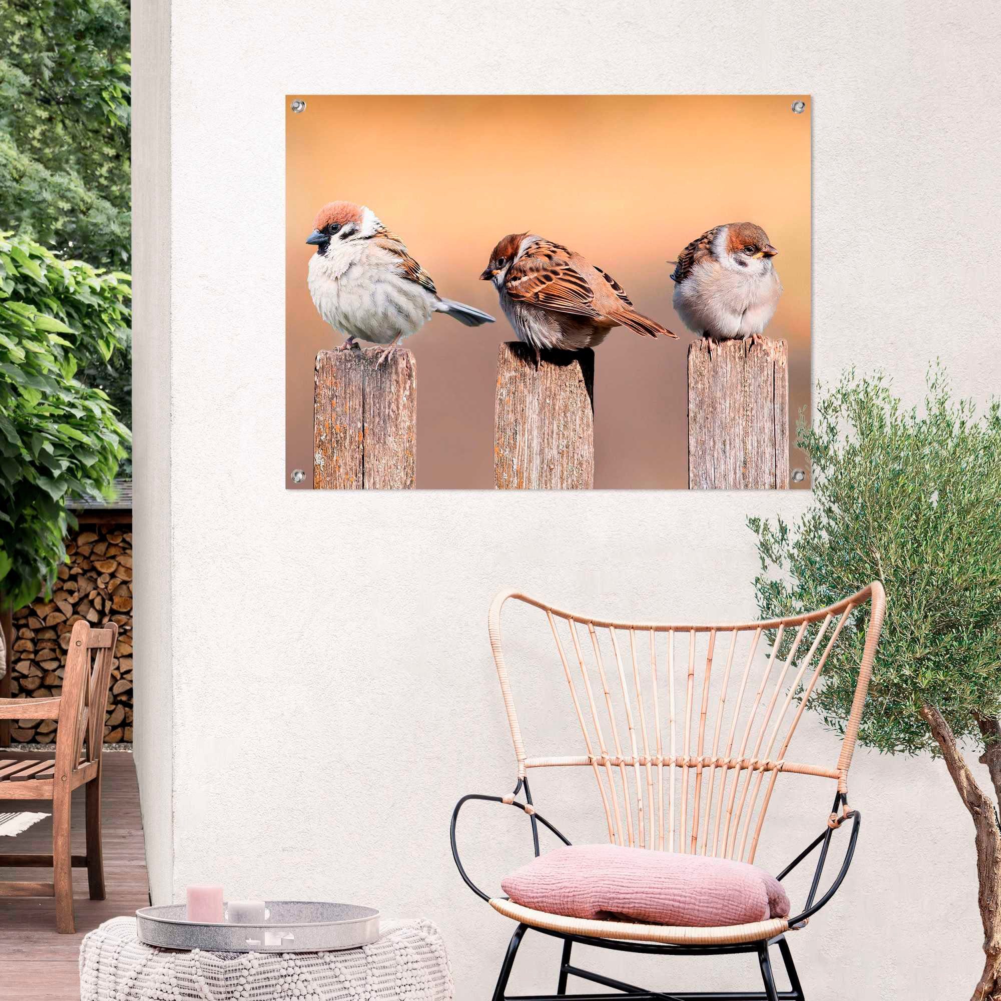 Reinders! Poster Vogelfamilie