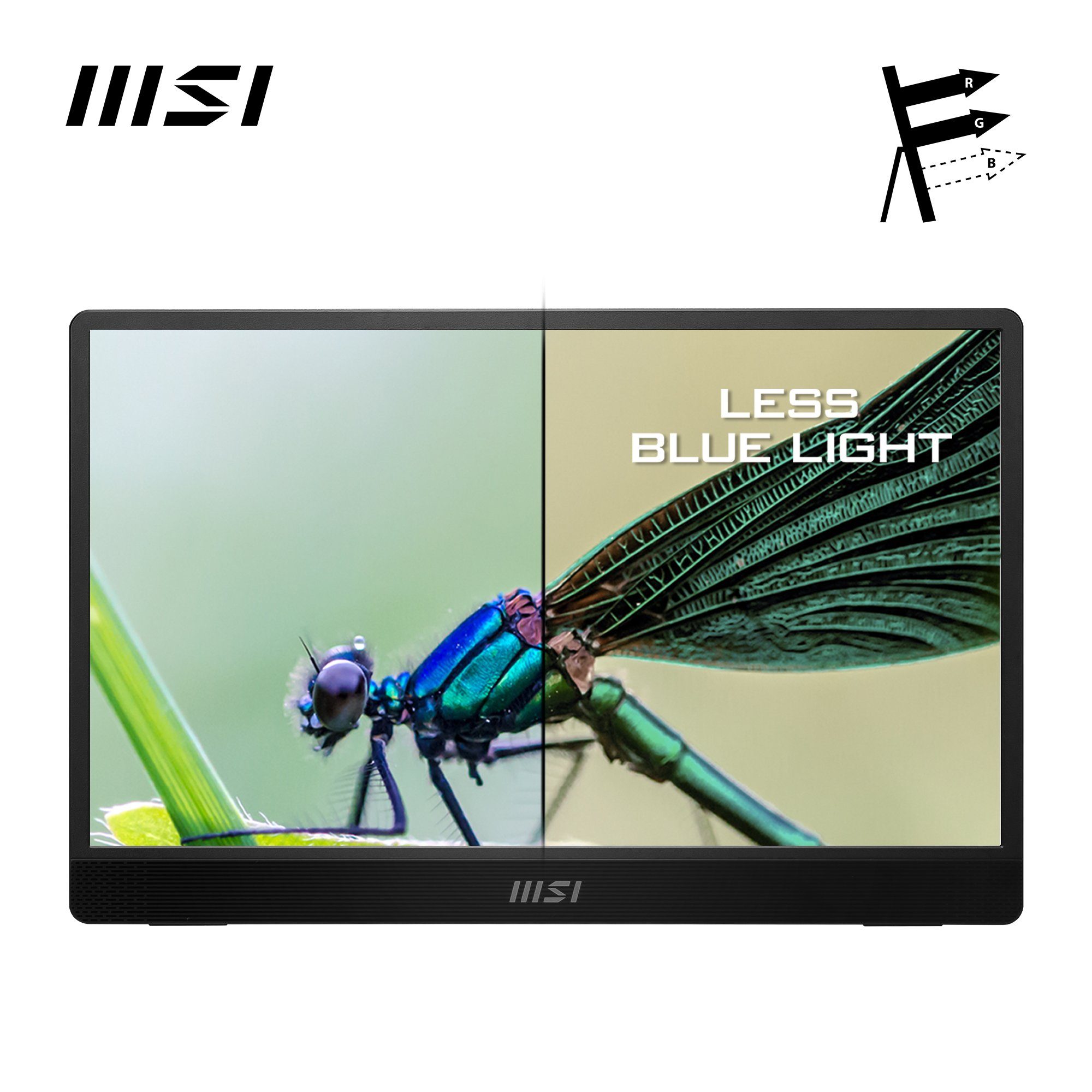 MSI Ledscherm PRO MP161 E2, 40 cm / 16", Full HD