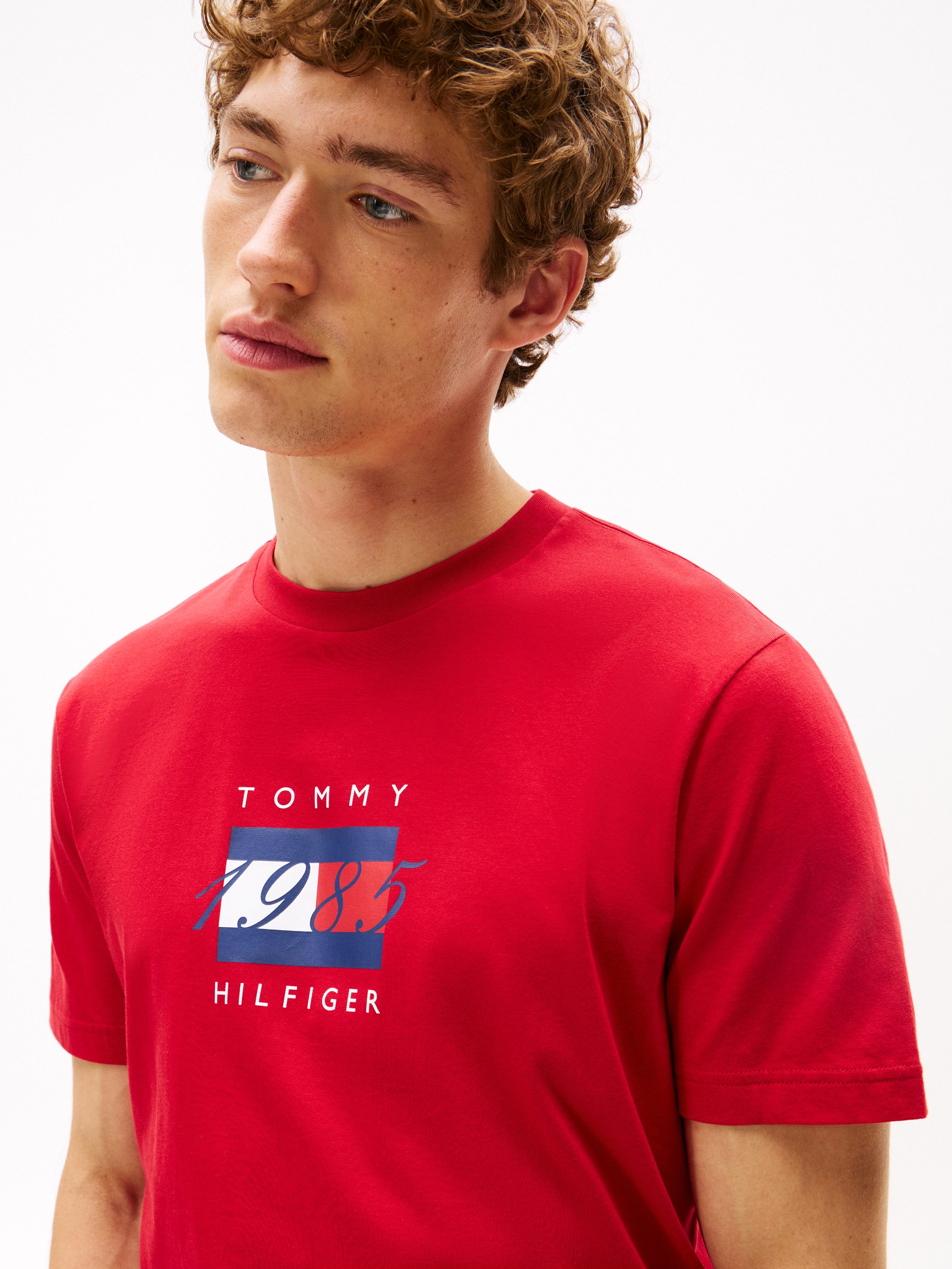 Tommy Hilfiger T-shirt LINEAR FLAG GRAPHIC