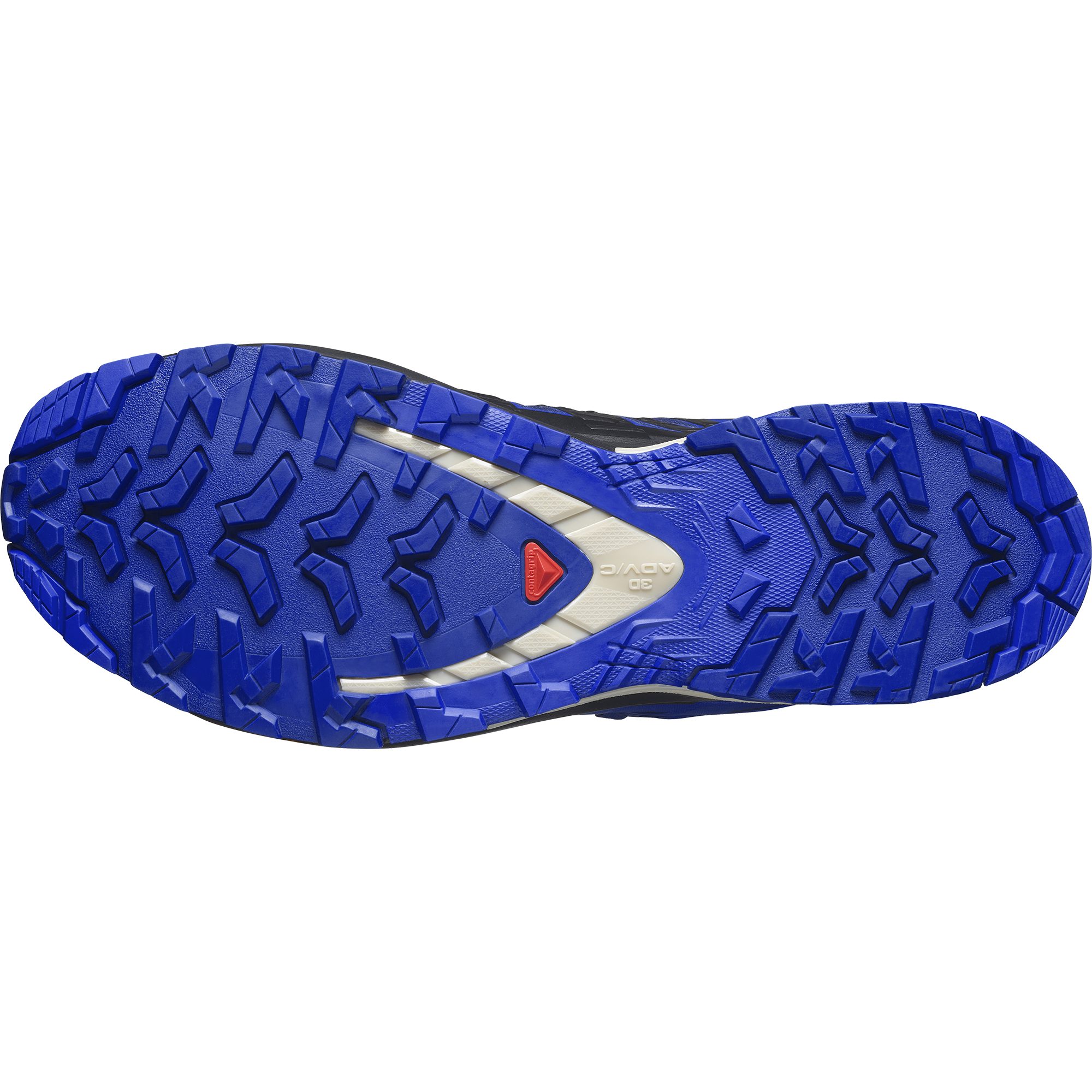 Salomon Trailrunningschoenen XA PRO 3D V9 GORE-TEX