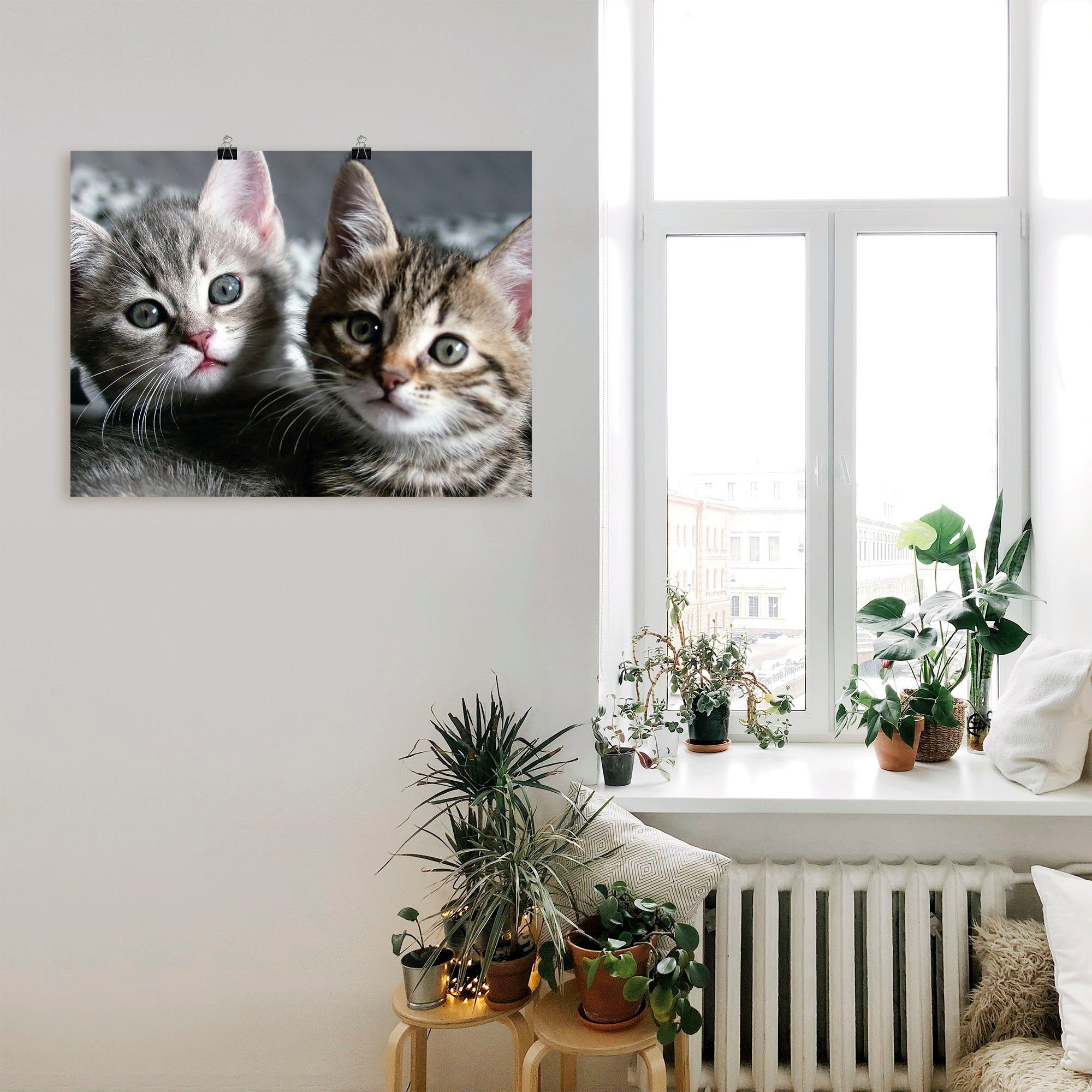 Artland Artprint Kat als artprint van aluminium, artprint voor buiten, artprint op linnen, poster, muursticker