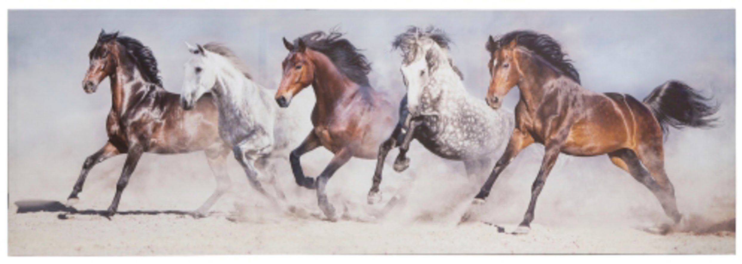 Spiegelprofi GmbH Artprint op linnen Horses (1 stuk)