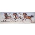 spiegelprofi gmbh artprint op linnen horses exclusieve artprint, gedessineerde randen (1 stuk) multicolor