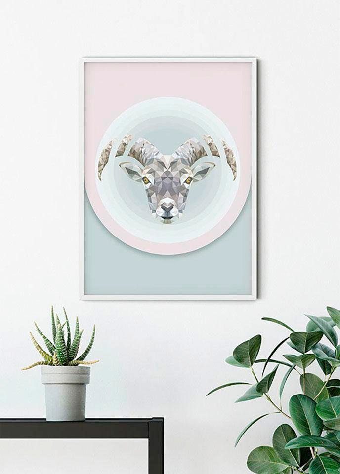 Komar Wanddecoratie Capricorn Wanddecoratie - zonder lijst (1 stuk)