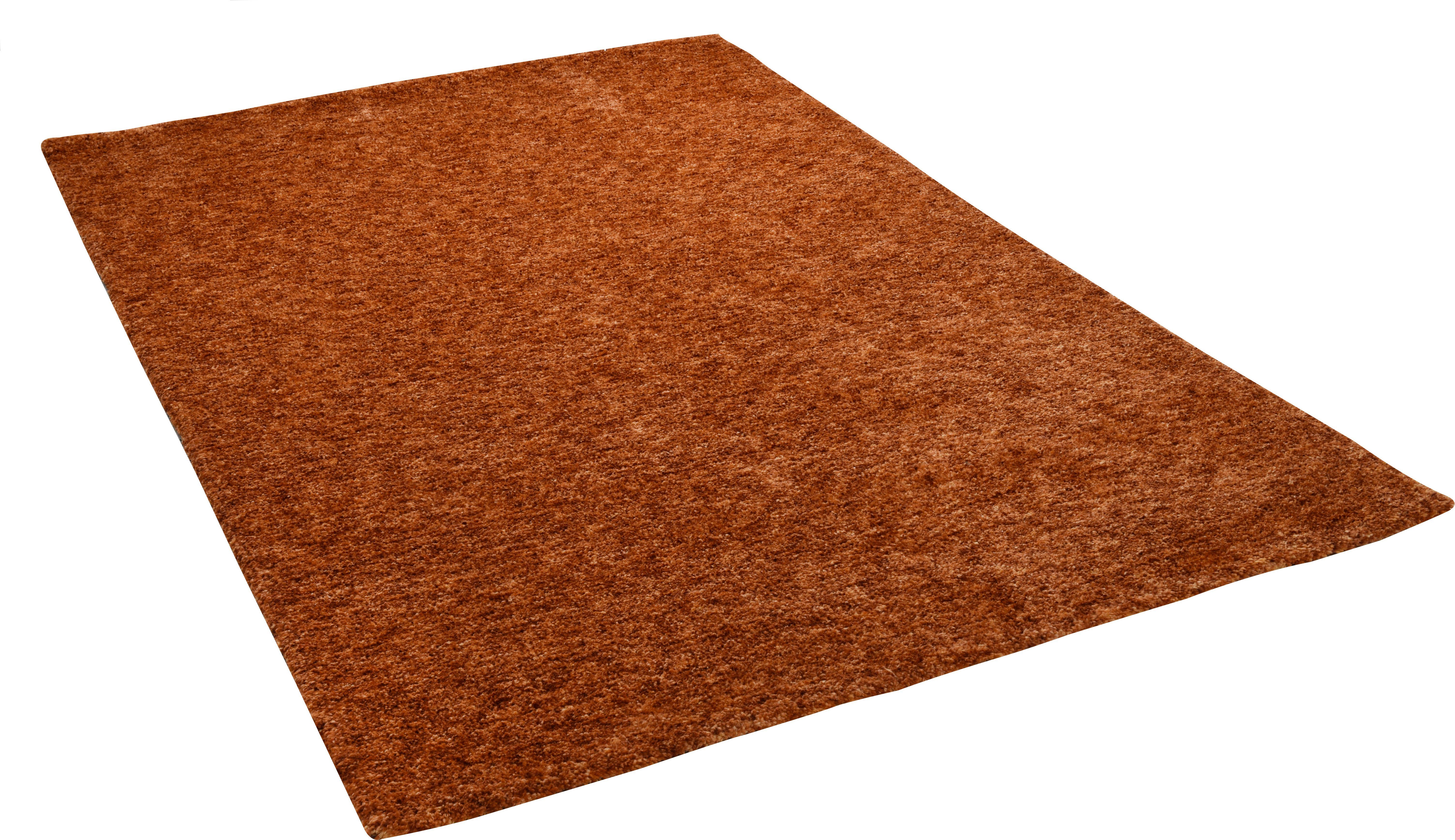Gino Falcone Vloerkleed Roberto Uni mêlee, bijzonder zacht door microvezel moderne vloerkleden maat 190x290 cm bruin