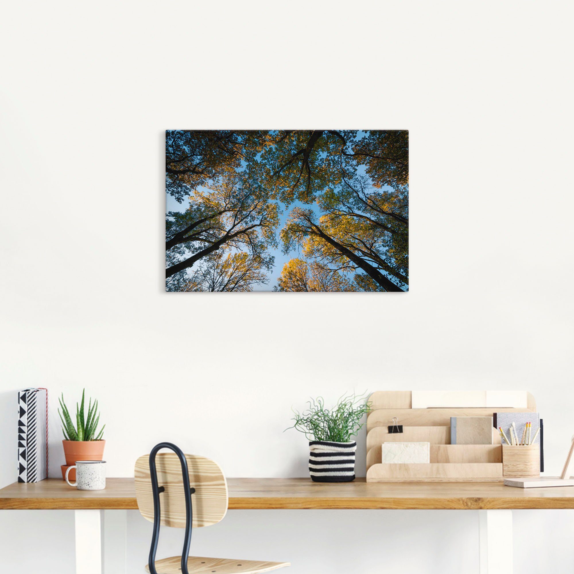 Artland Artprint Herfst in het bos als artprint van aluminium, artprint voor buiten, artprint op linnen in verschillende maten