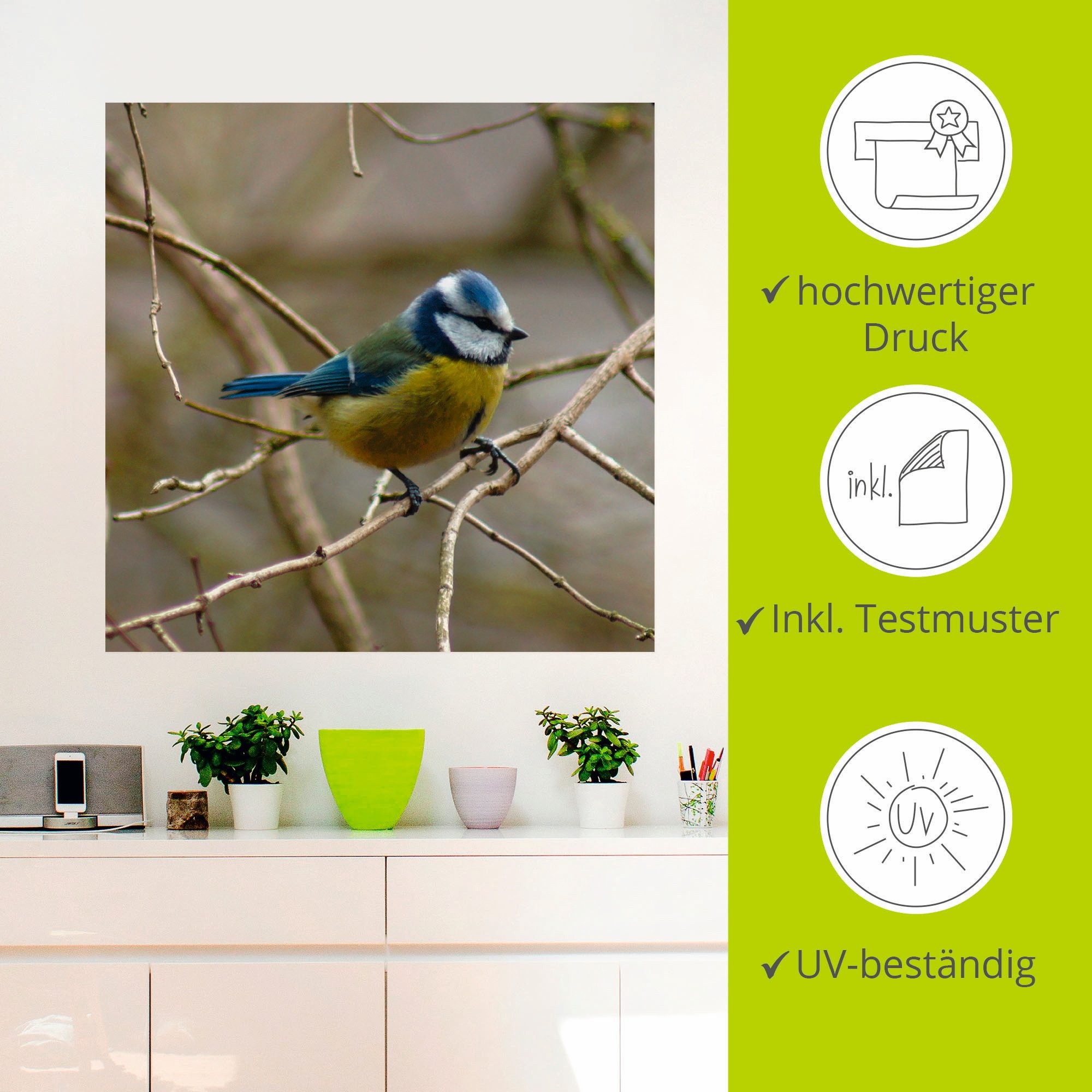 Artland Artprint Pimpelmees als artprint op linnen, muursticker in verschillende maten