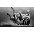 boenninghoff artprint op linnen zebra (1 stuk) multicolor