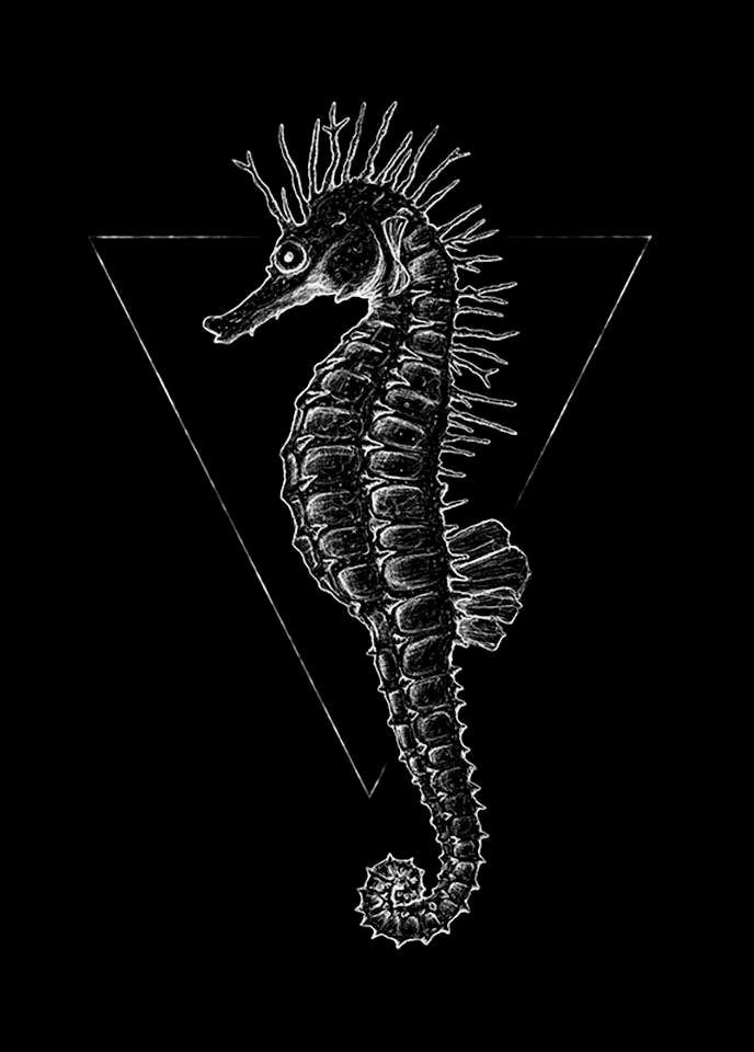 Komar Poster Sea Horse black Hoogte: 40 cm