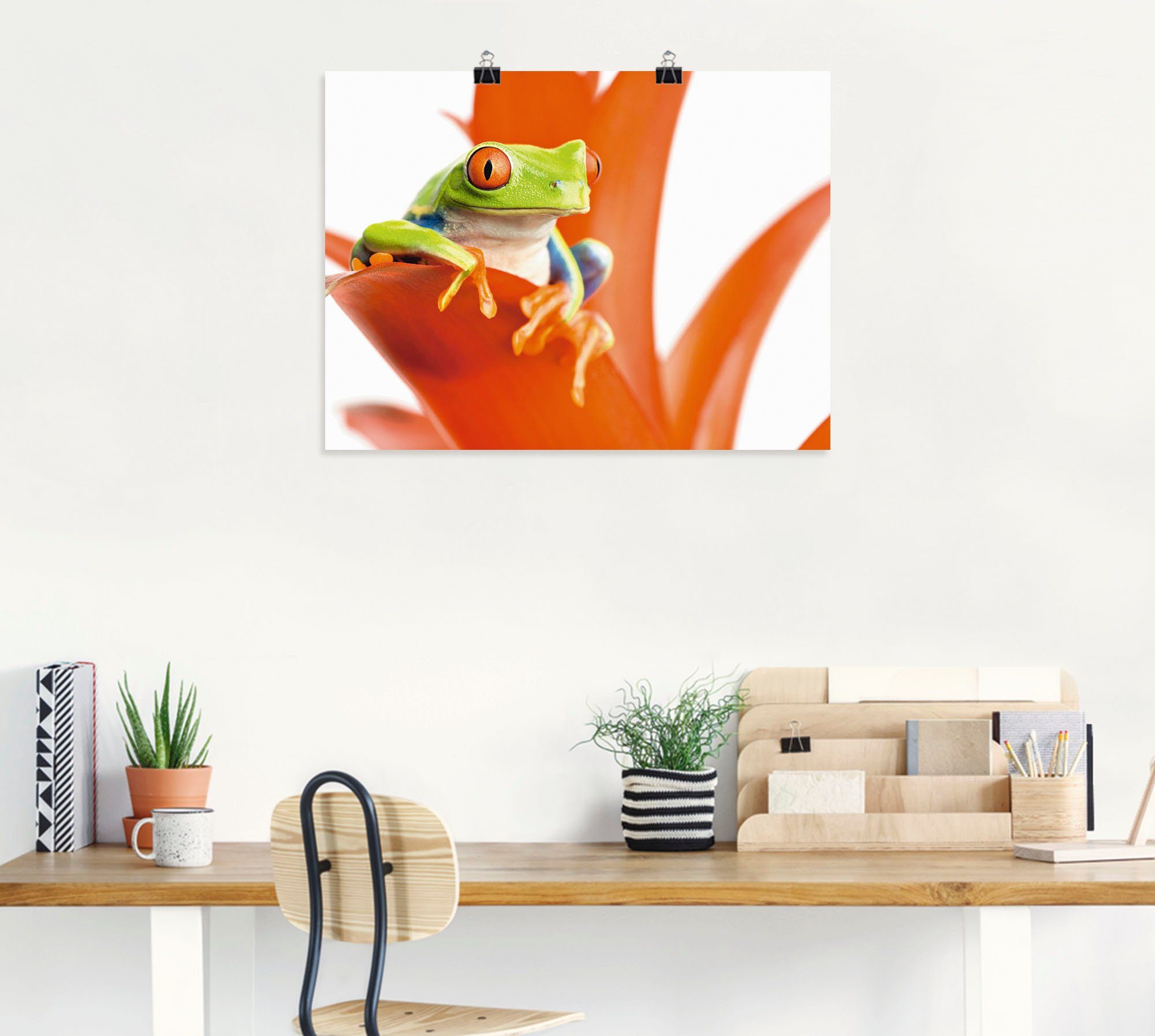 Artland Artprint Kikker op zijn troon als artprint van aluminium, artprint op linnen, muursticker of poster in verschillende maten