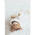 lichtblick rolgordijn met zijbediening klemmfix digitaal sleepy cat gedessineerd (1 stuk) wit