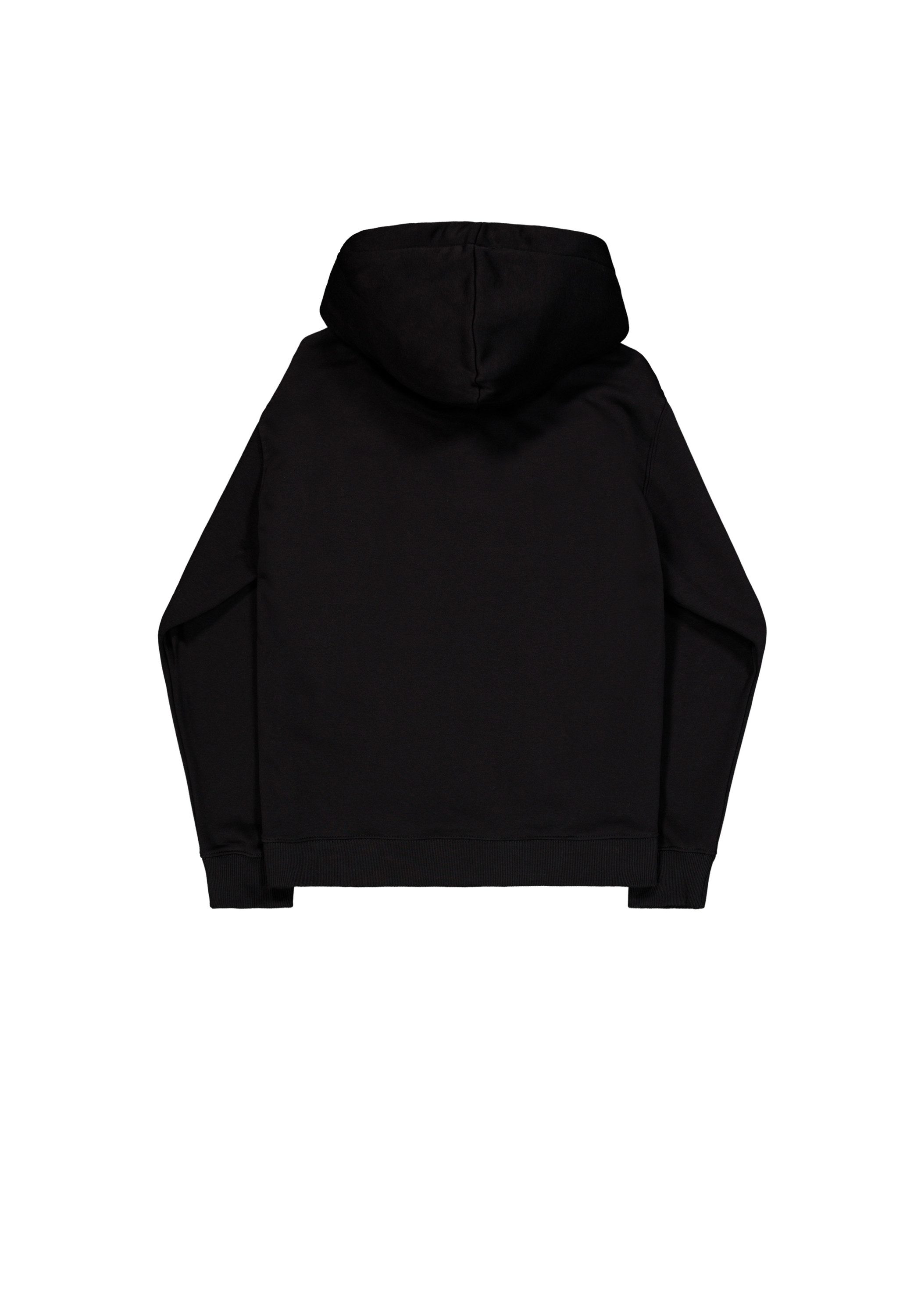 Alpha Industries Hoodie Alpha Industries Men - Hoodies Basic Hoodie Small Logo
