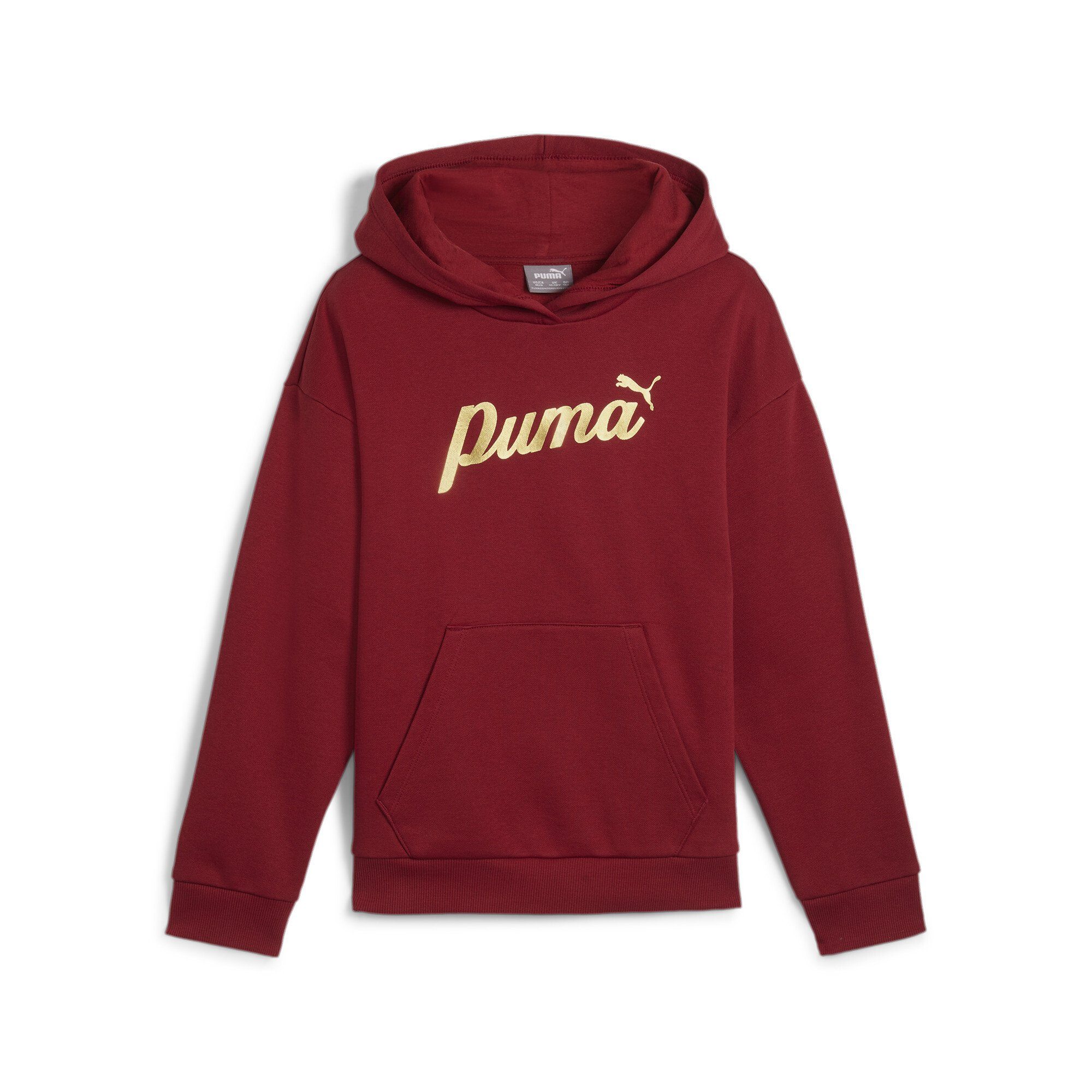 PUMA Hoodie ESS+ SCRIPT METALLIC HOODIE FL G