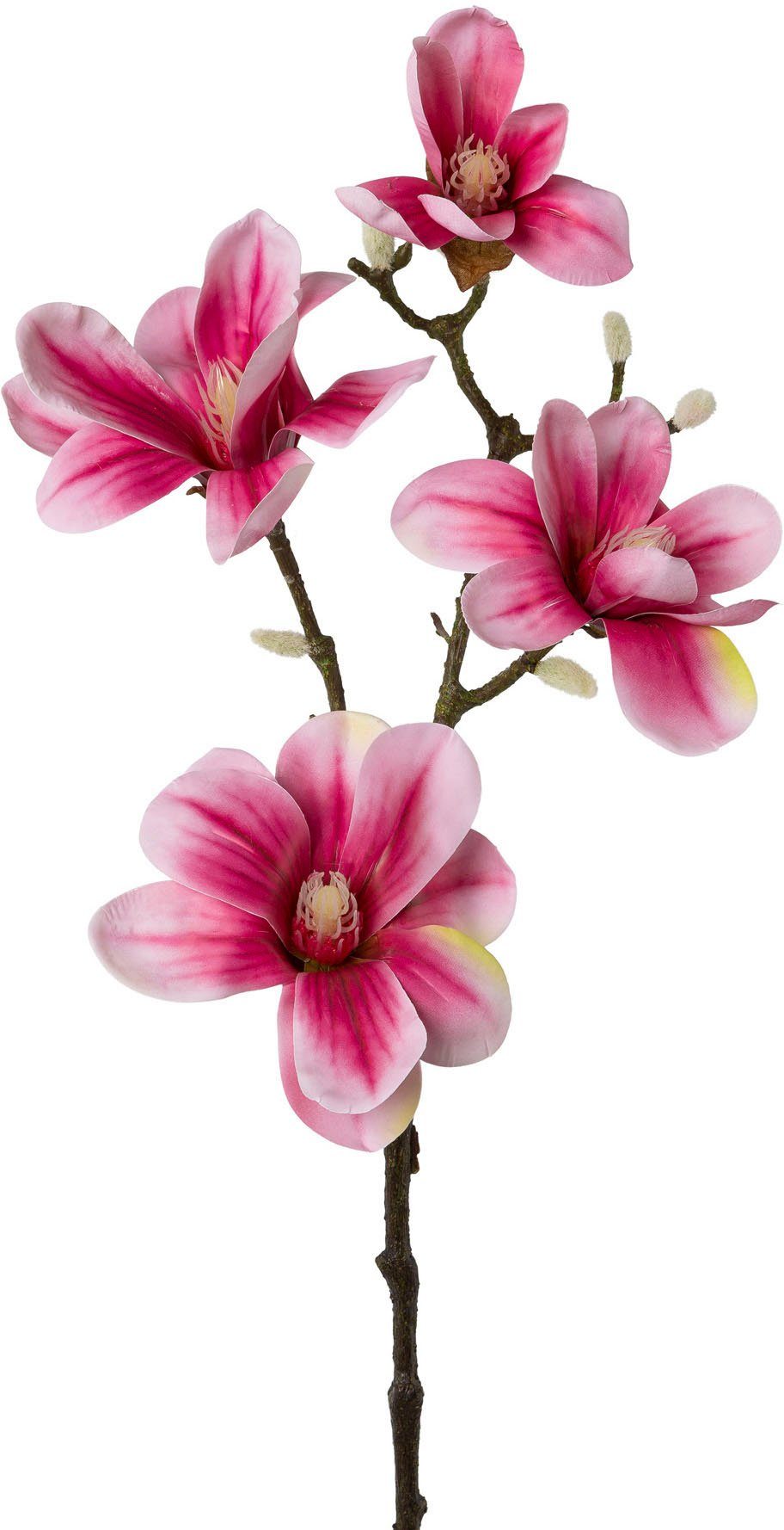 Creativ green Kunsttak Tak magnolia (2 stuks)