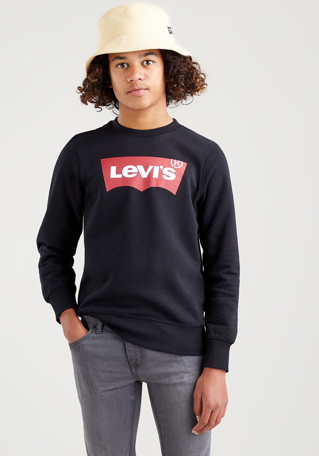 Levi's Kidswear Sweatshirt LVB LVB FRENCH TERRY BATWING