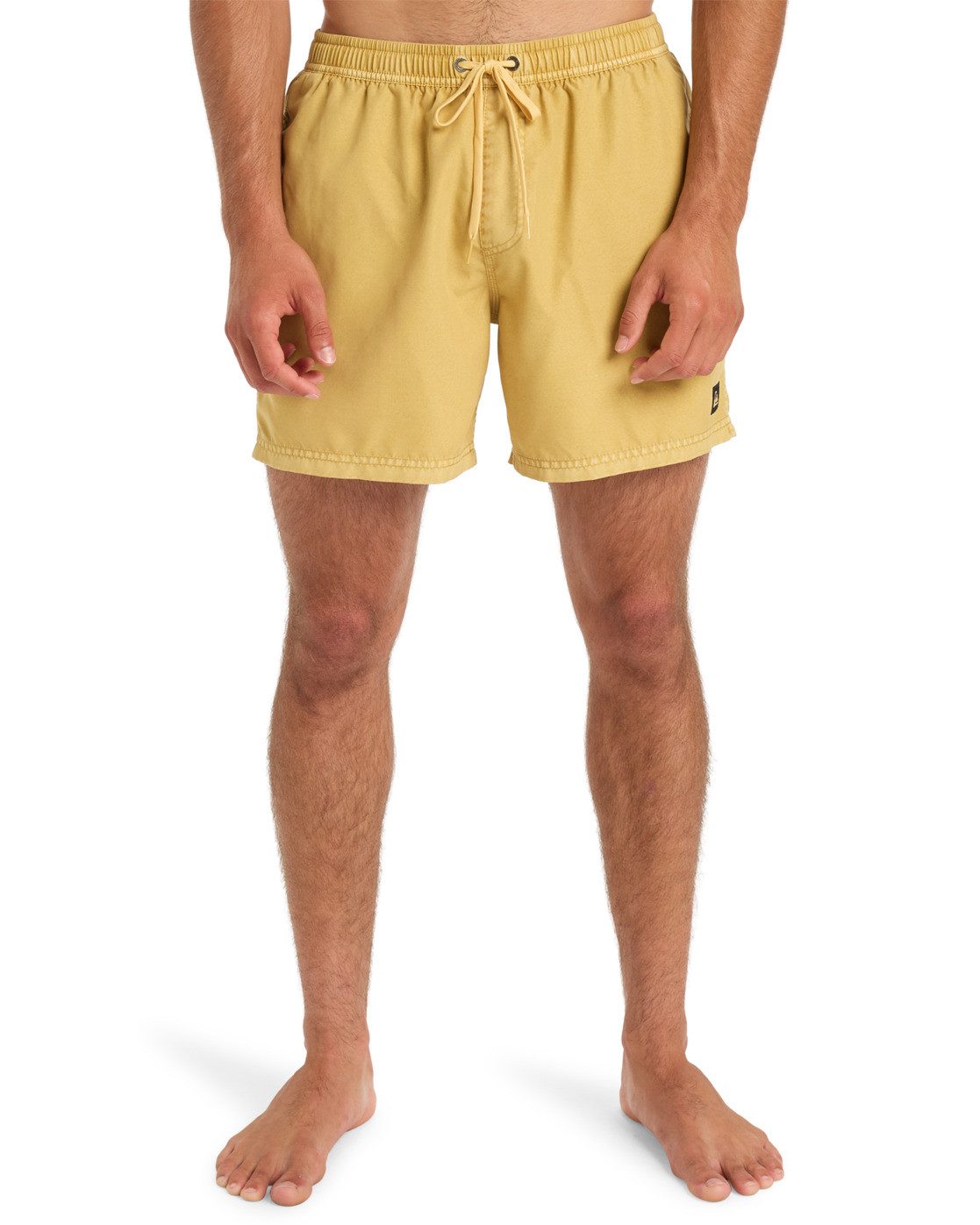 Quiksilver Boardshort Everyday Surfwash Volley 15"