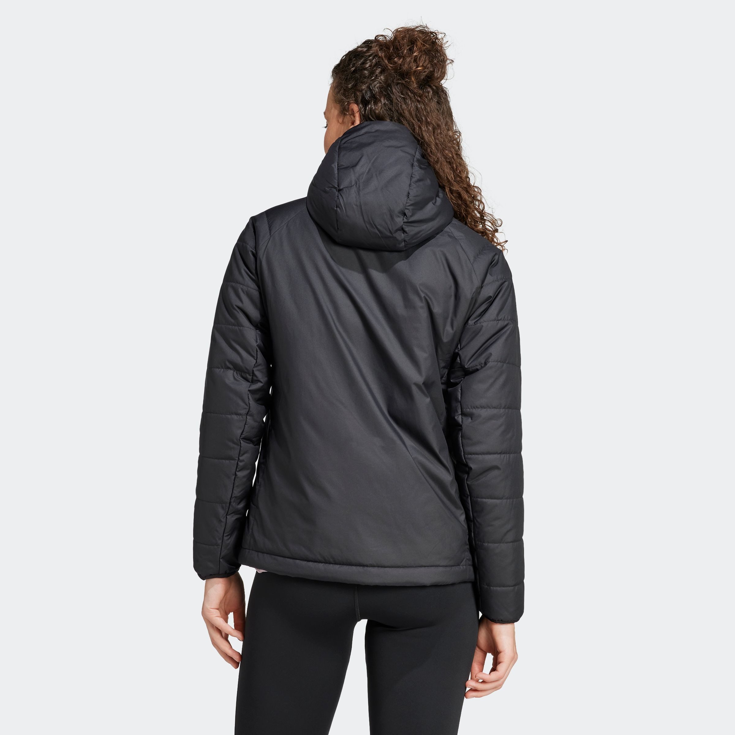 adidas TERREX Outdoorjack W MT INS HO JKT