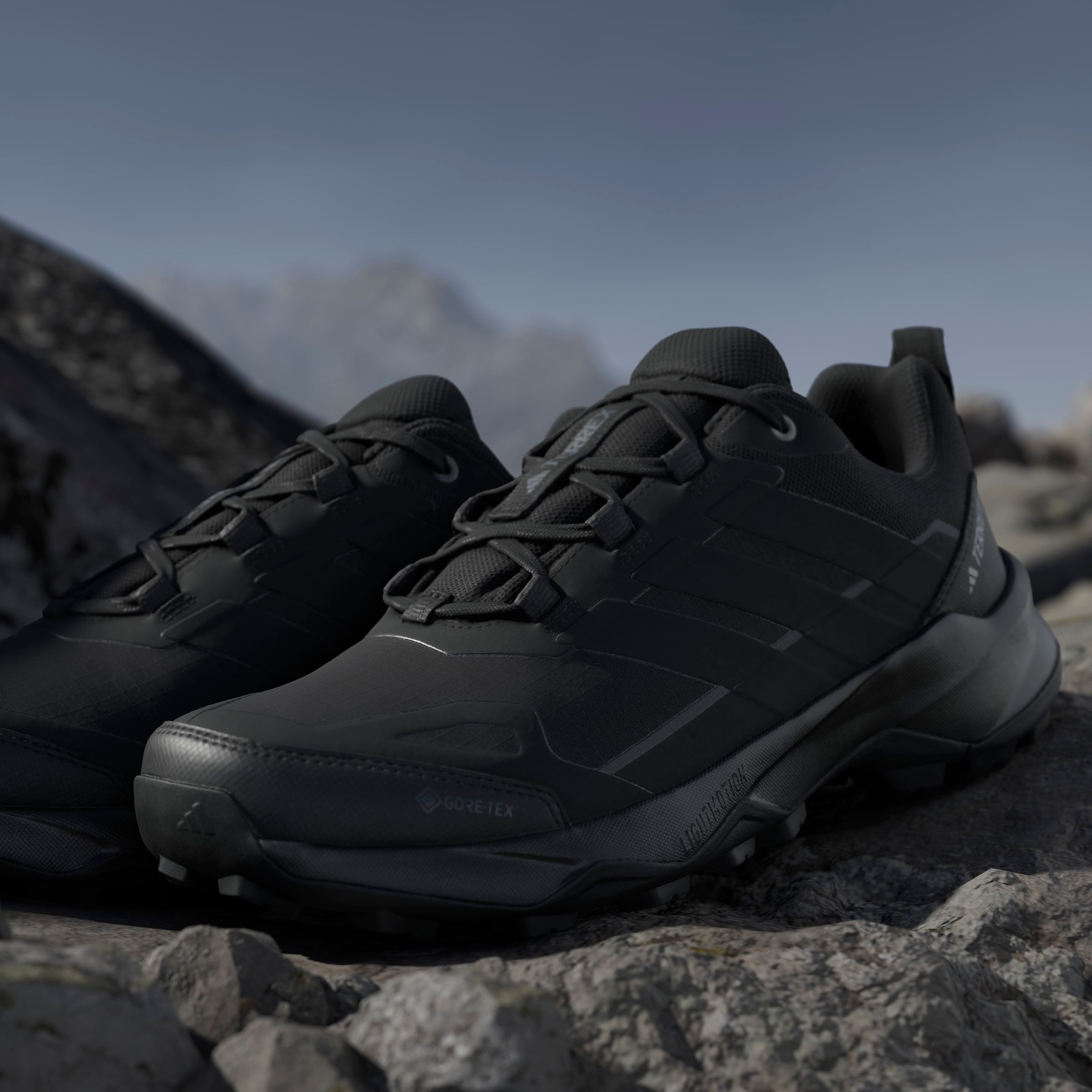 adidas TERREX Wandelschoenen TERREX SKYCHASER AX5 GORE-TEX E