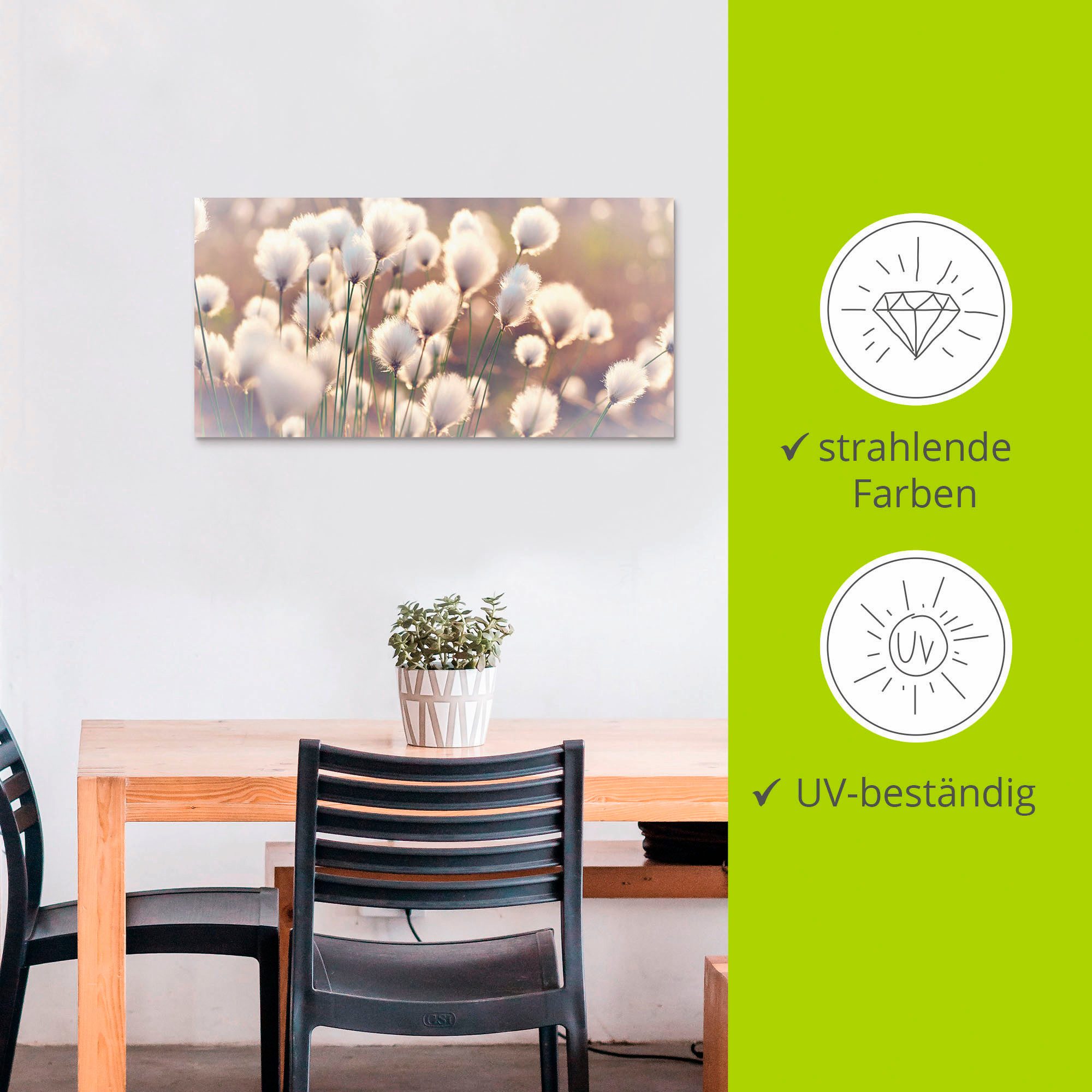 Artland Artprint Wolgrasmagie in het veen als artprint van aluminium, artprint voor buiten, artprint op linnen, poster, muursticker