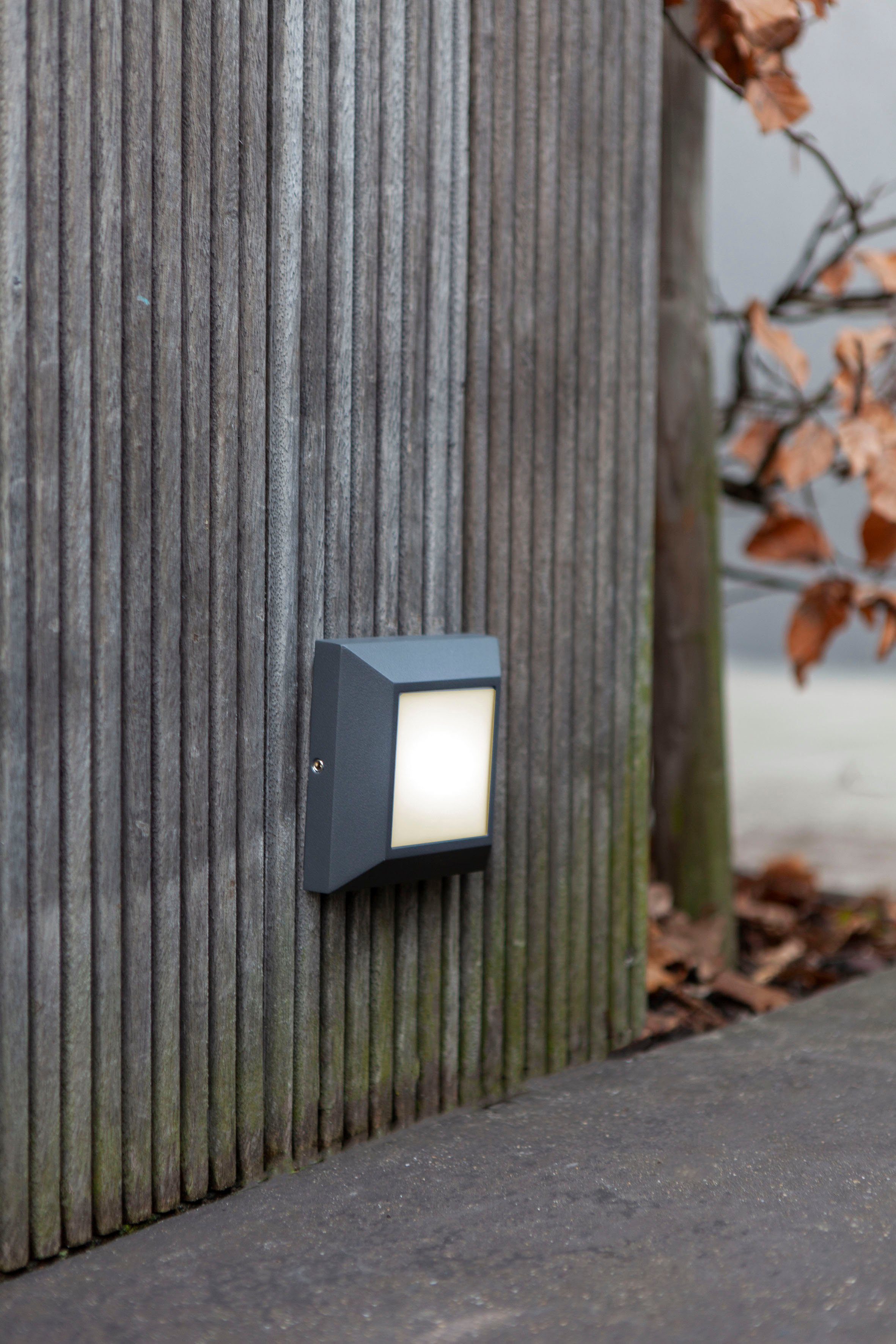 LUTEC Ledwandlamp voor buiten Helene (1 stuk)