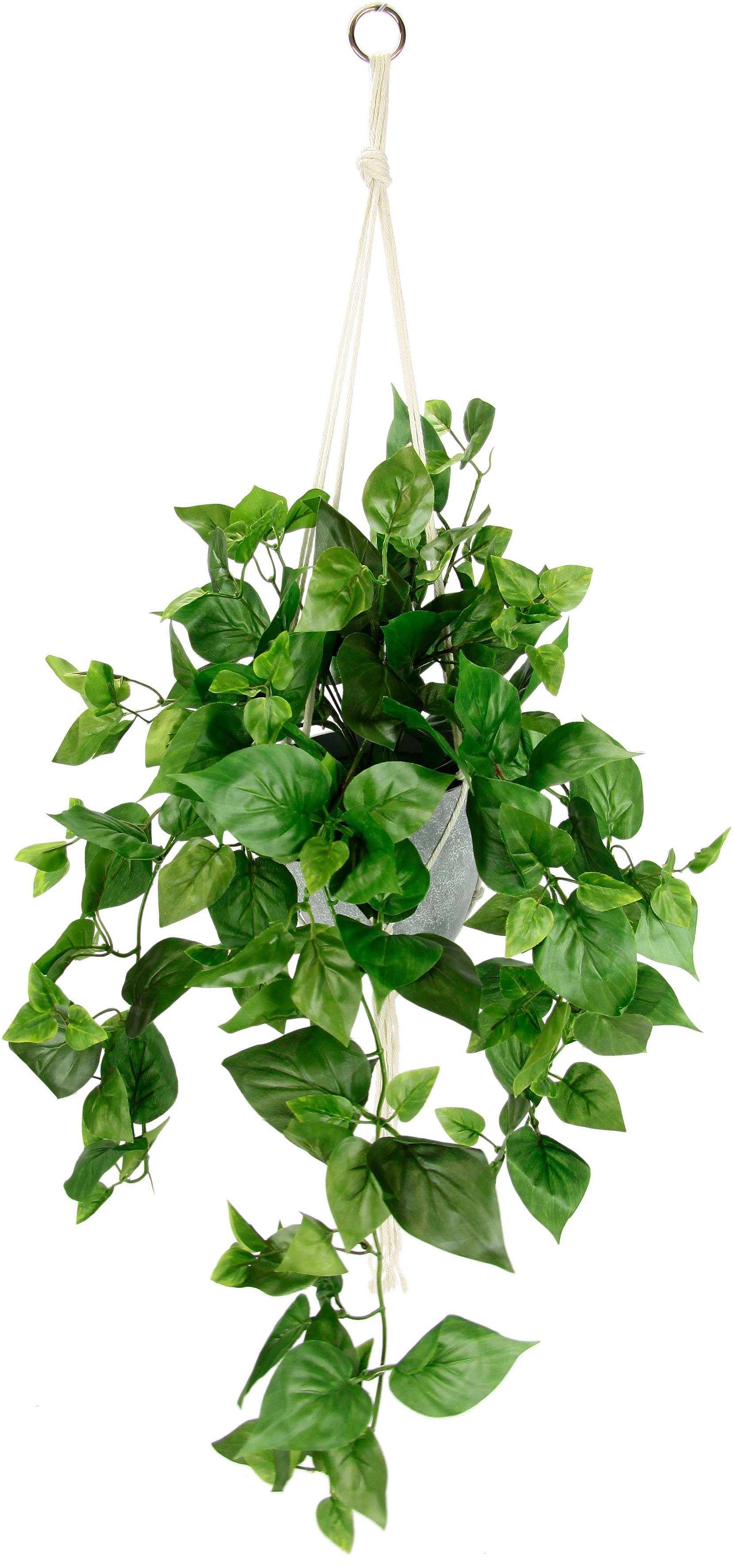 I.GE.A. Kunstplant Kunstmatige philo hangmand met hangmand (1 stuk) kunstplanten groen
